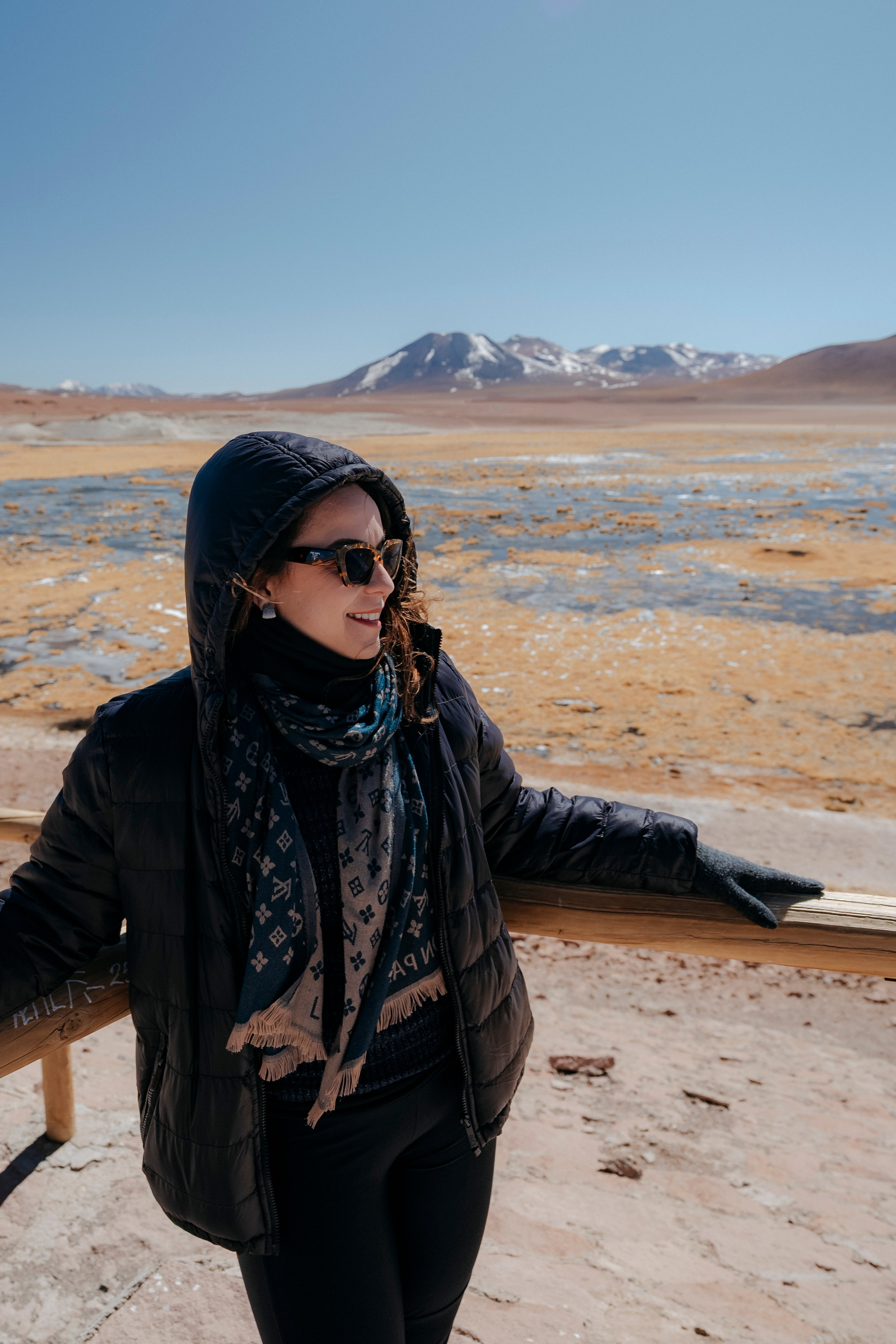 Geyser El Tatio (cobertura en tour privado). Principal