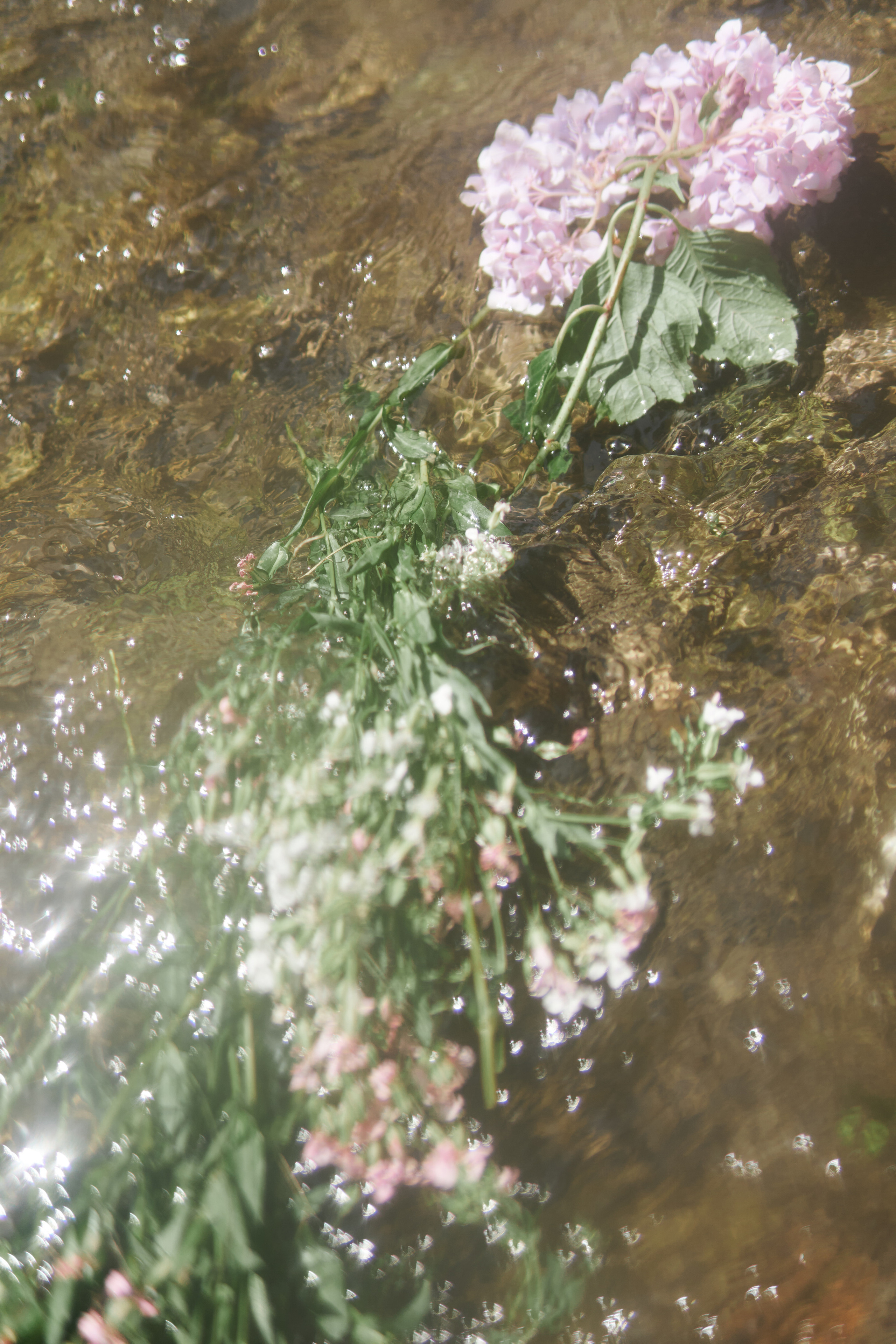 Tbilisi, Spring. Mother Nature. Дарья Филькова — фотограф и видеограф в Тбилиси, Грузия