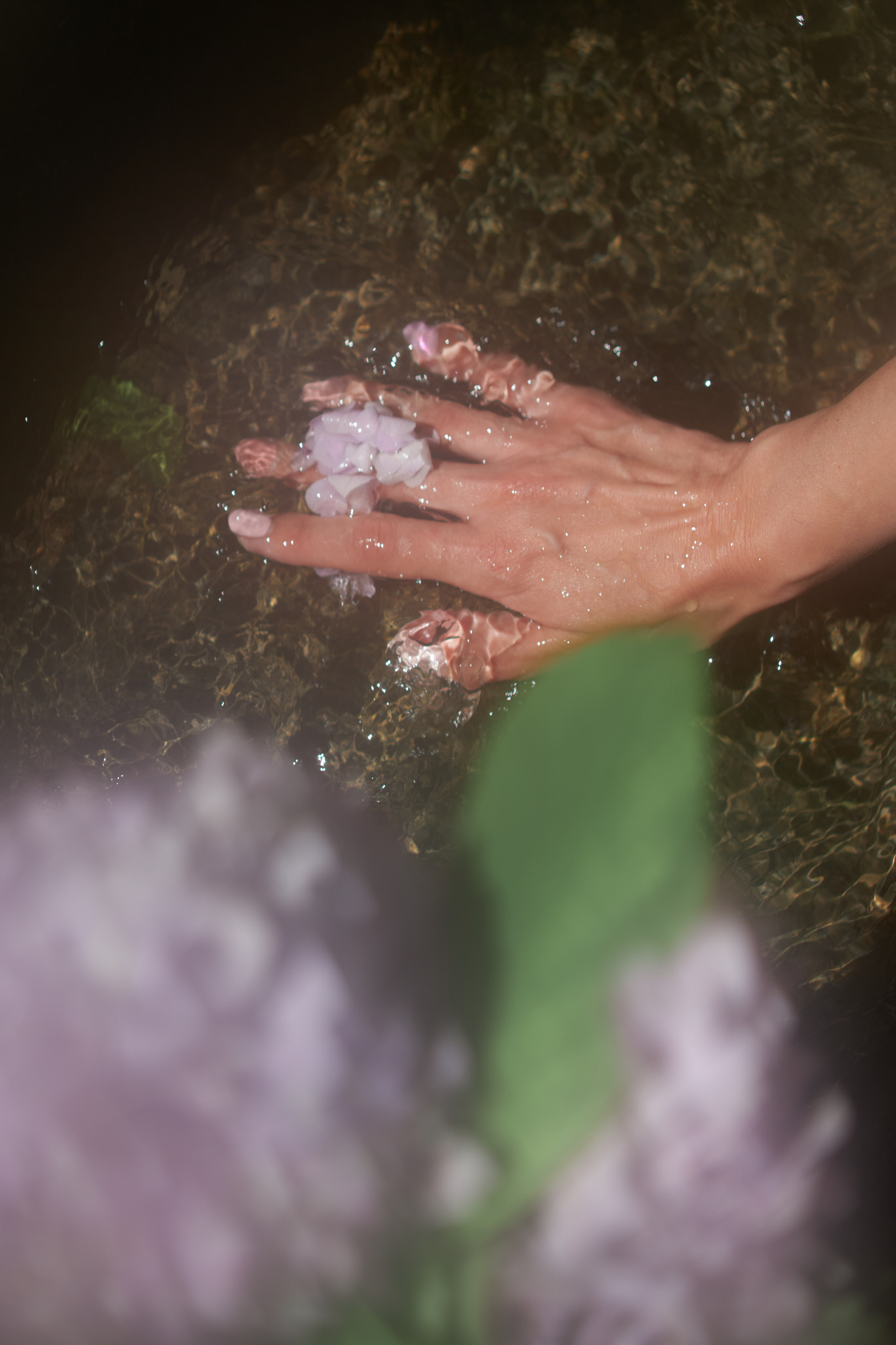 Tbilisi, Spring. Mother Nature. Дарья Филькова — фотограф и видеограф в Тбилиси, Грузия