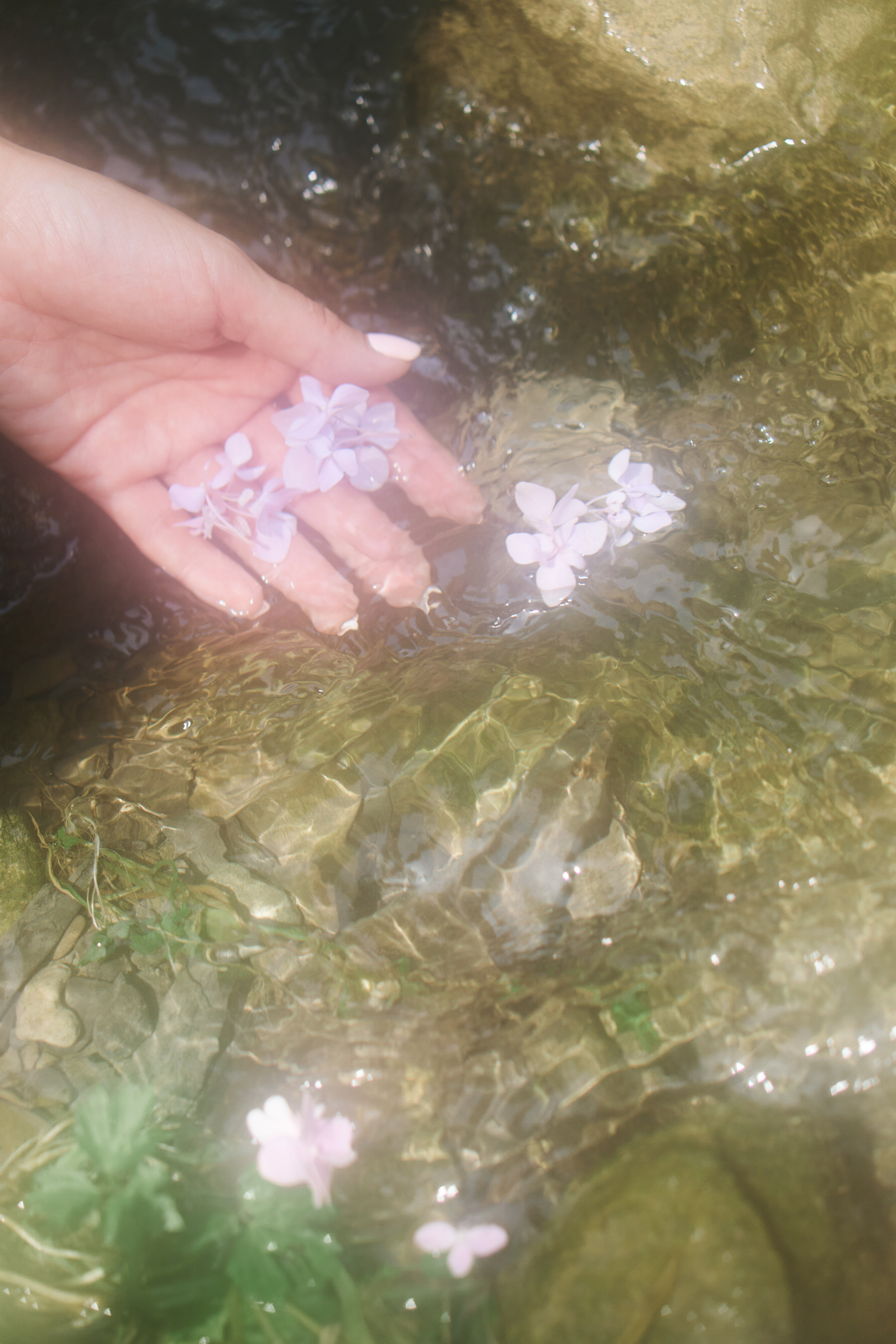 Tbilisi, Spring. Mother Nature. Дарья Филькова — фотограф и видеограф в Тбилиси, Грузия