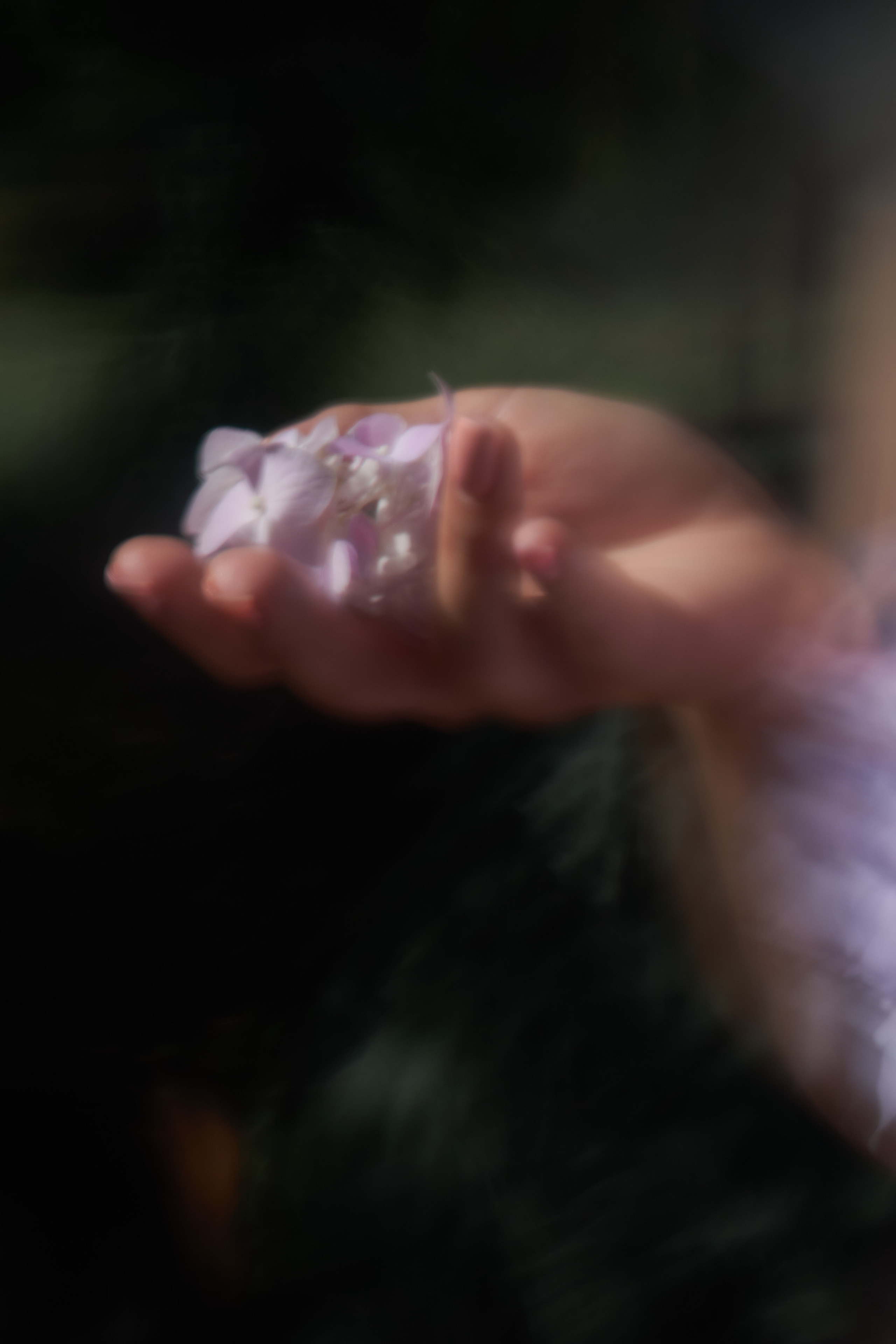 Tbilisi, Spring. Mother Nature. Дарья Филькова — фотограф и видеограф в Тбилиси, Грузия