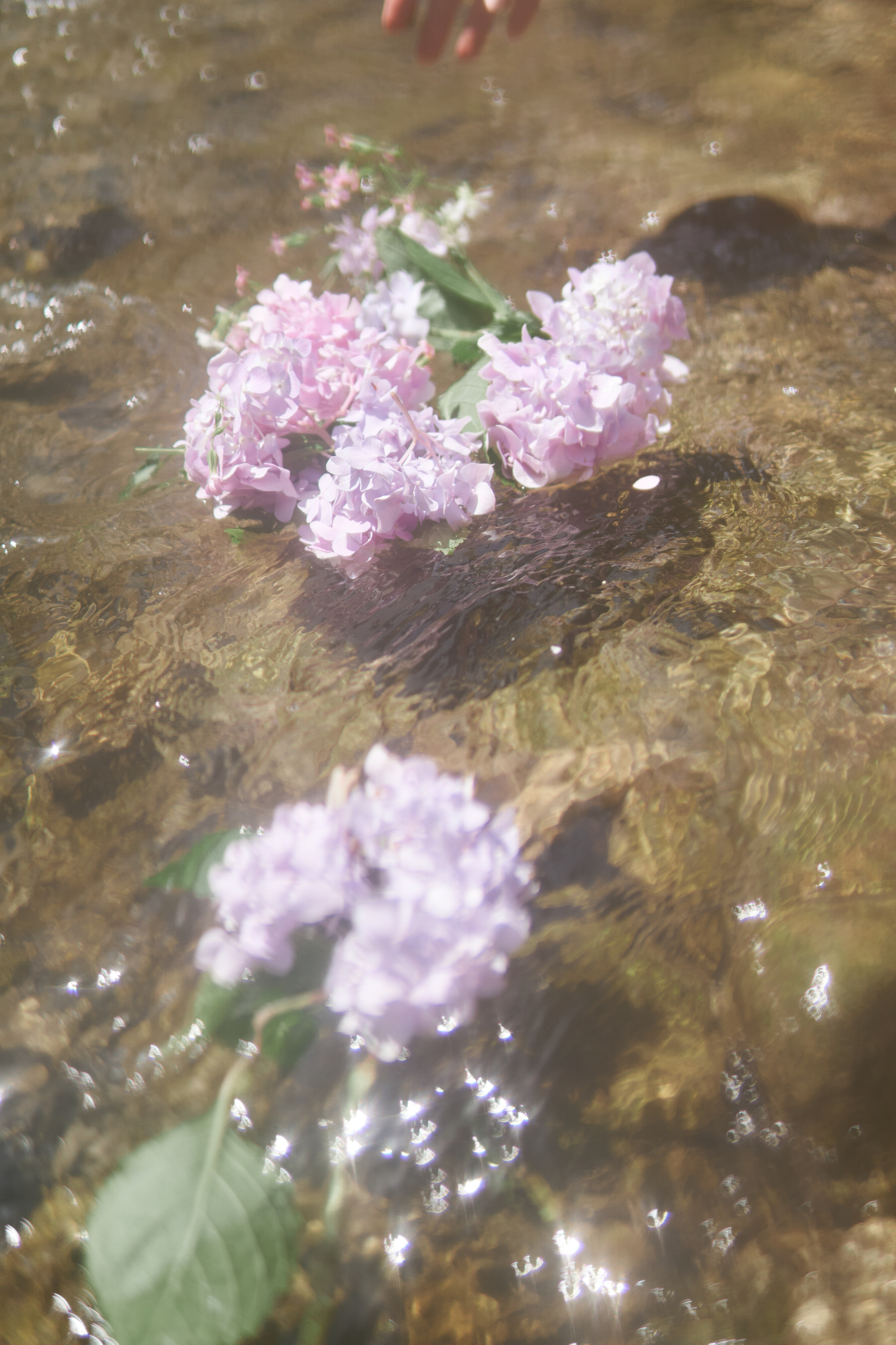 Tbilisi, Spring. Mother Nature. Дарья Филькова — фотограф и видеограф в Тбилиси, Грузия