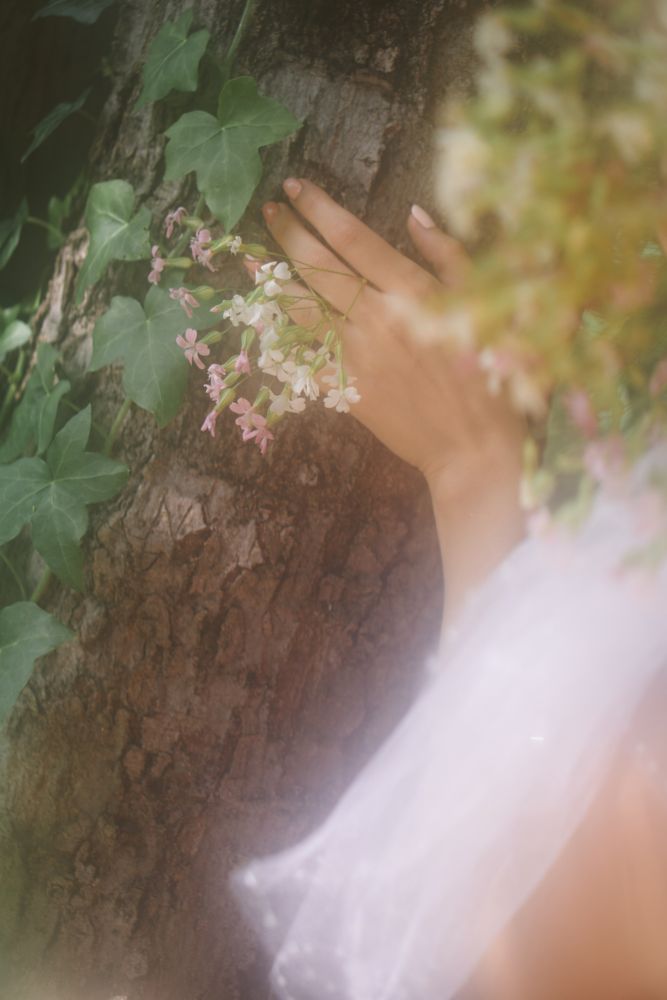 Tbilisi, Spring. Mother Nature. Дарья Филькова — фотограф и видеограф в Тбилиси, Грузия