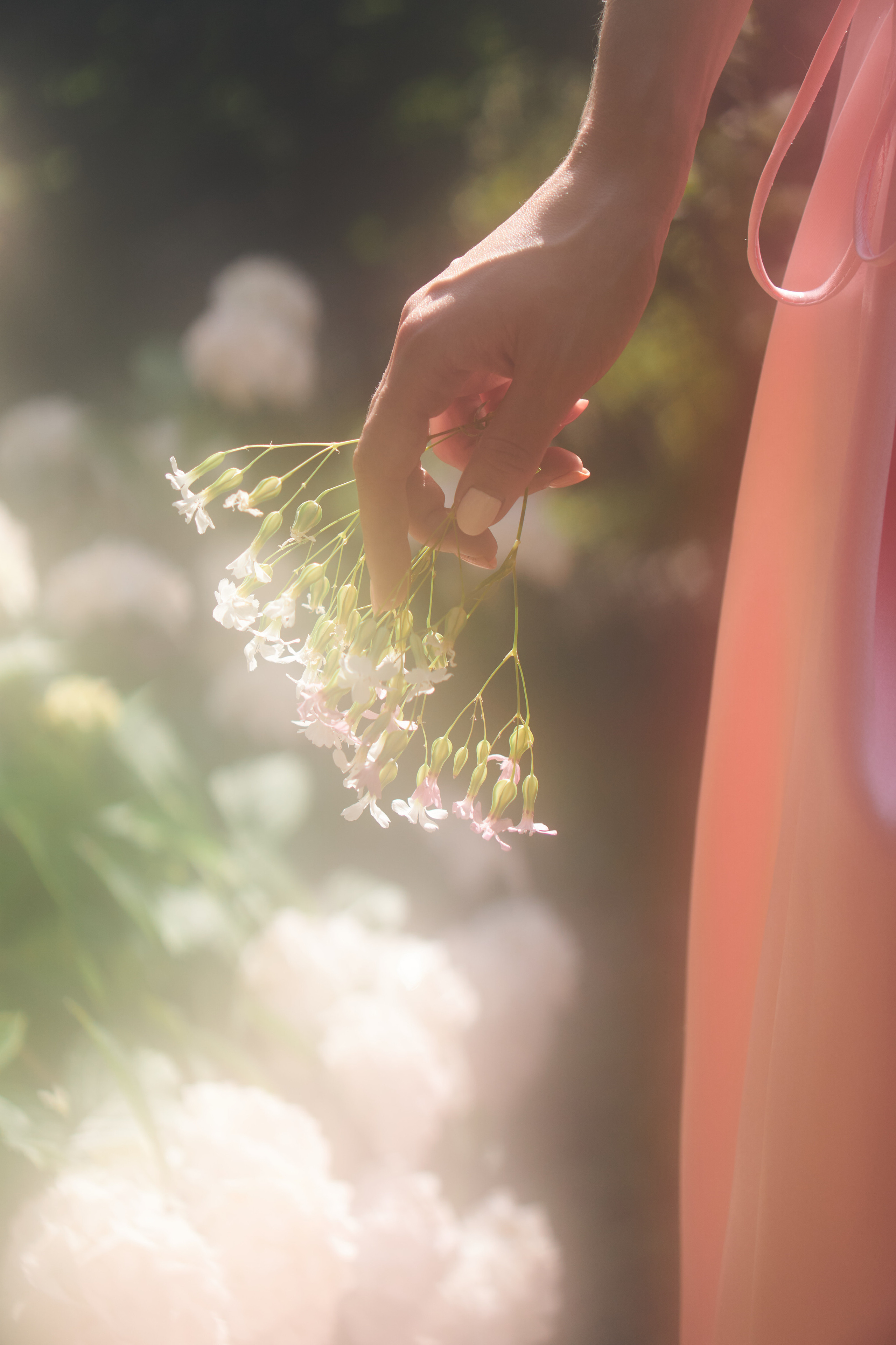 Tbilisi, Spring. Mother Nature. Дарья Филькова — фотограф и видеограф в Тбилиси, Грузия