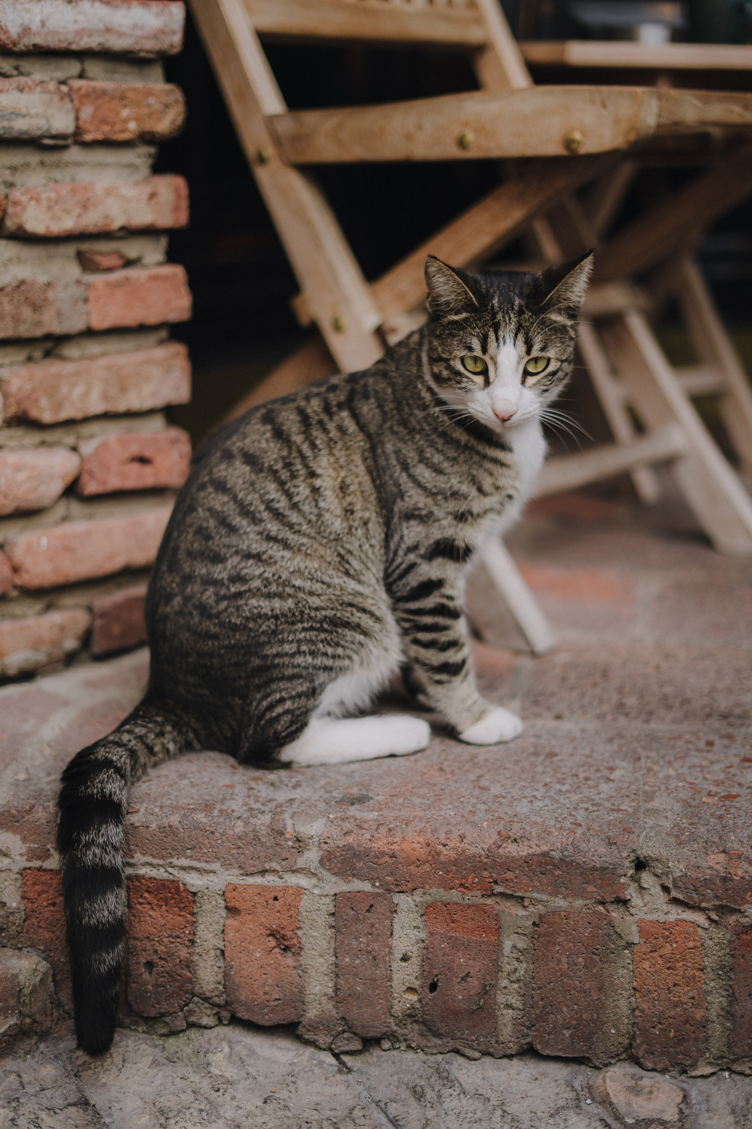 Tbilisi, March. Mihye & Minho. Дарья Филькова — фотограф и видеограф в Тбилиси, Грузия