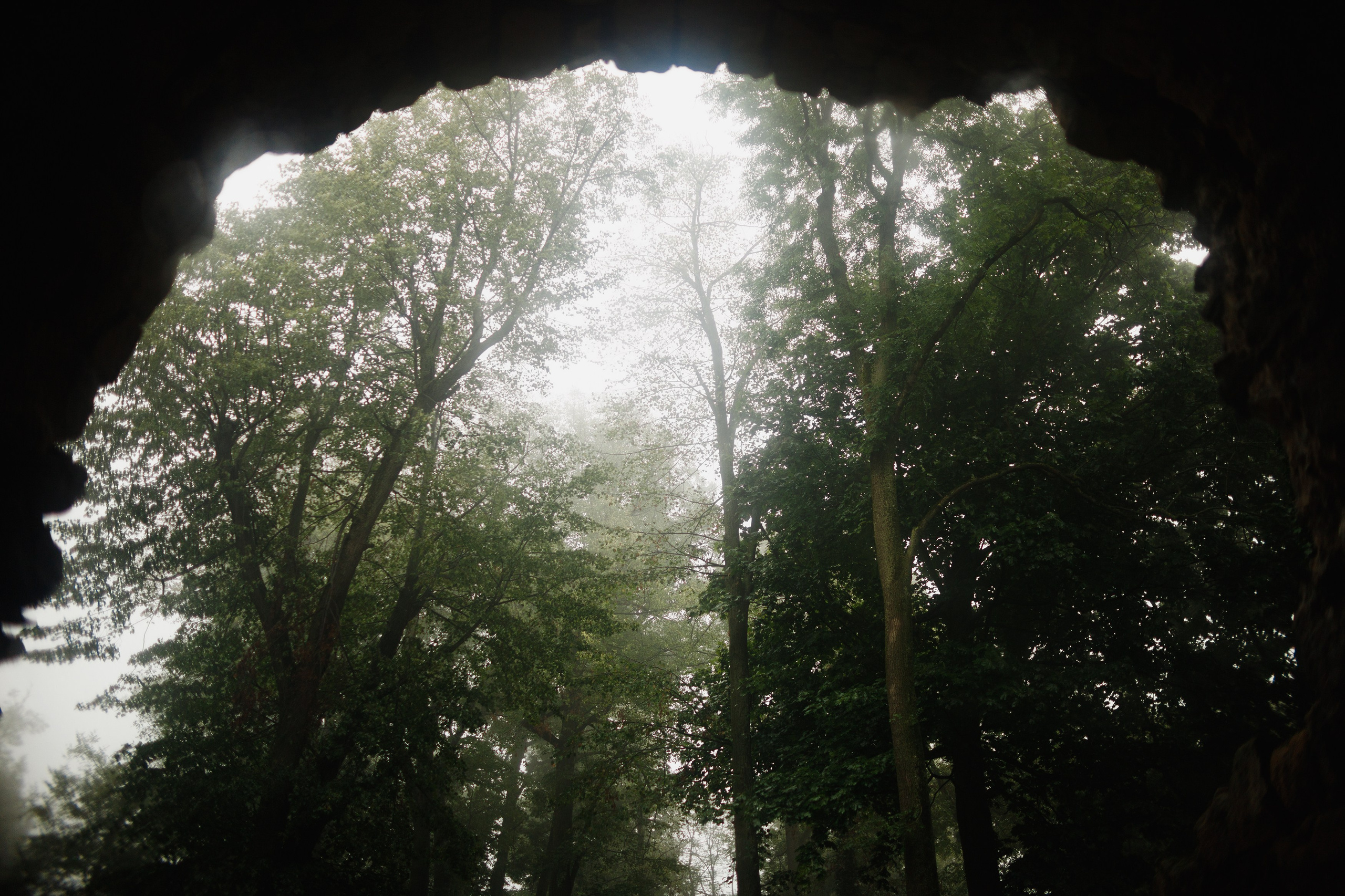 Zamek Grodziec. Kaja | fotograf psów we Wrocławiu