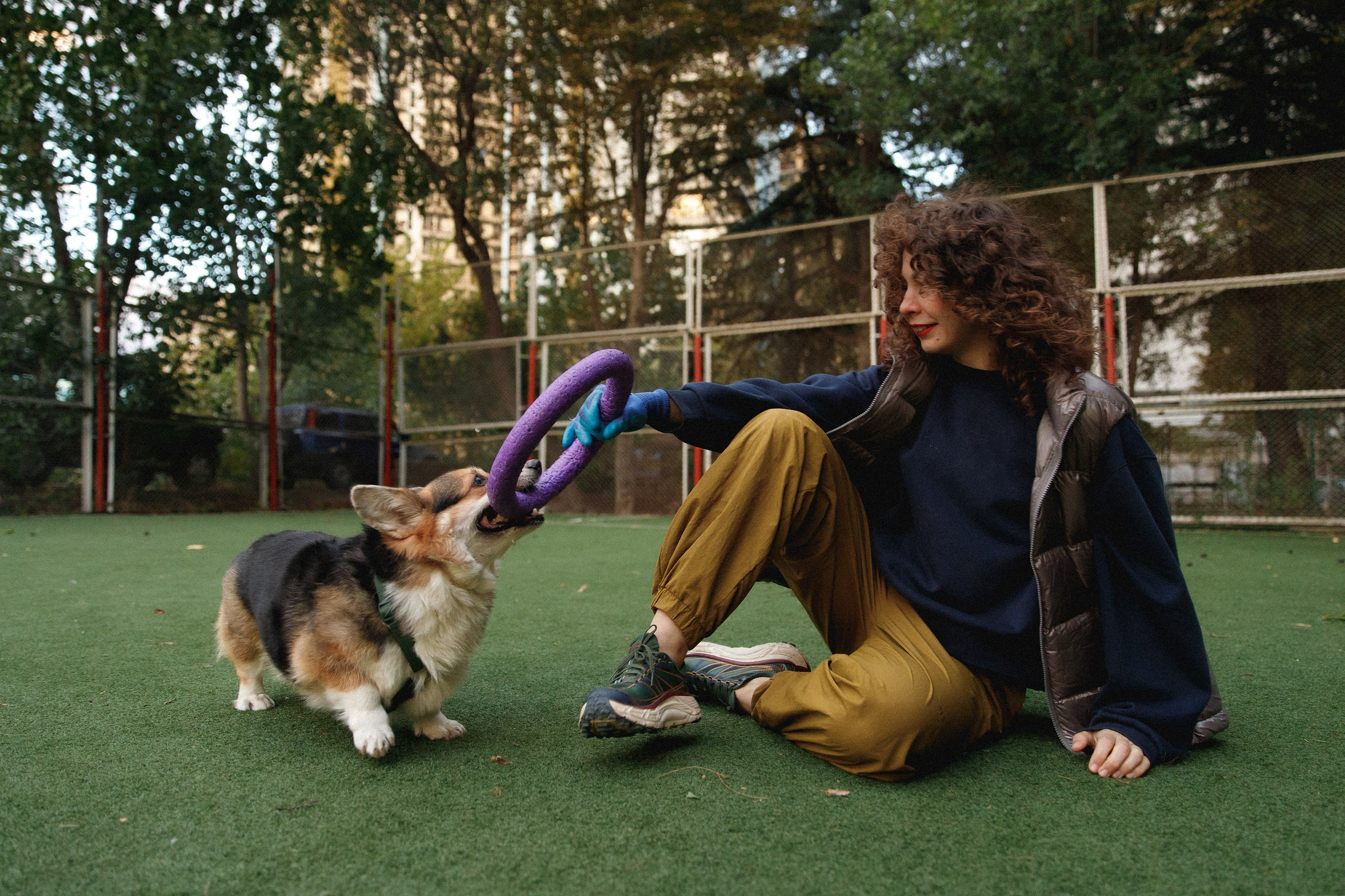 Sasha & Leonid. Kaja | fotograf psów we Wrocławiu