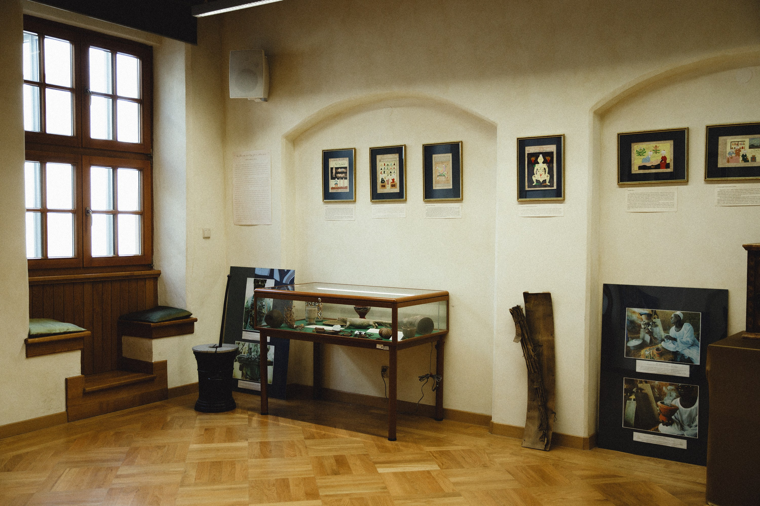 Museum of farmacy in Wroclaw. Kaja | fotograf we Wrocławiu | ludzie i psy