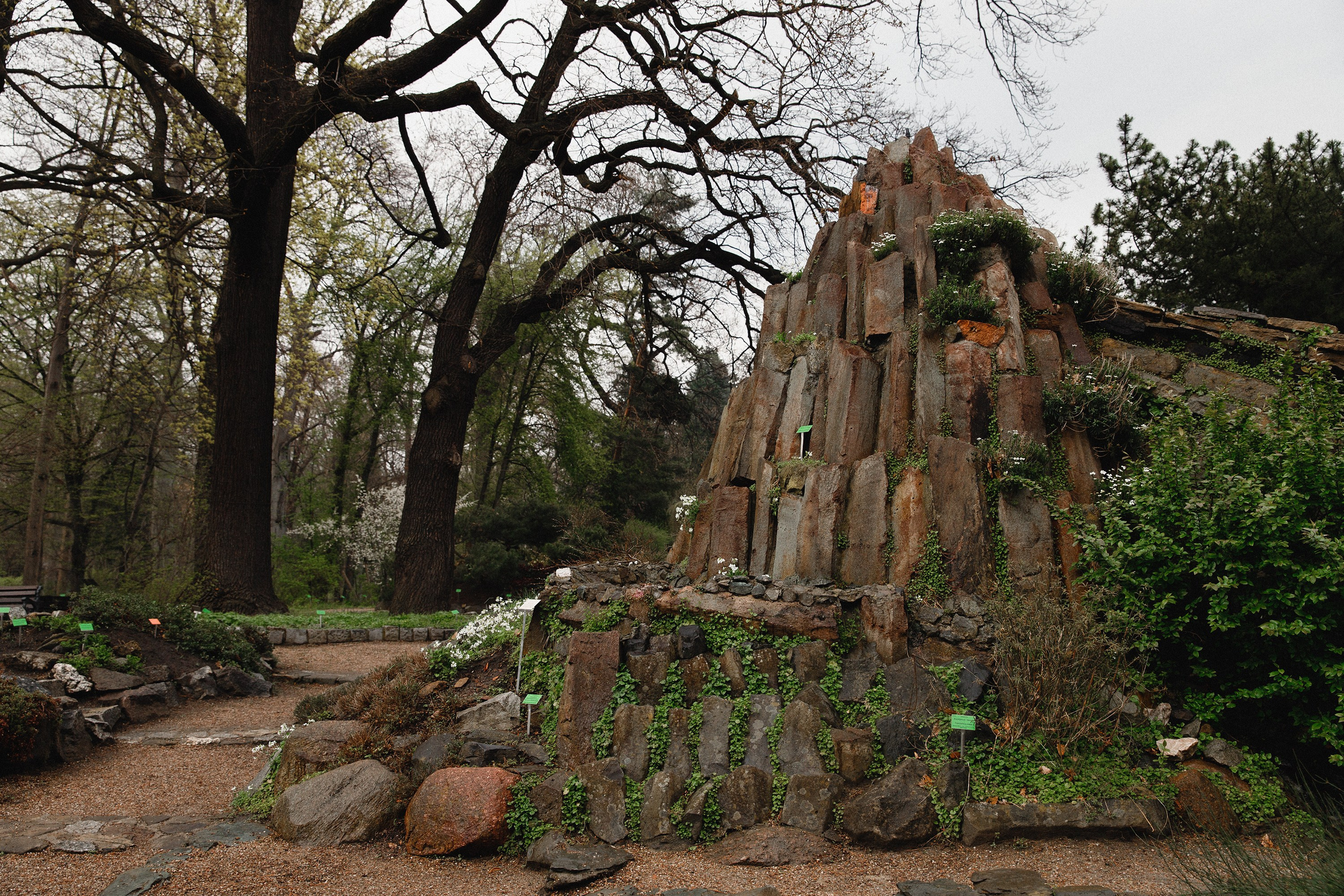 Botanical garden in Wroclaw. Kaja | fotograf we Wrocławiu | ludzie i psy