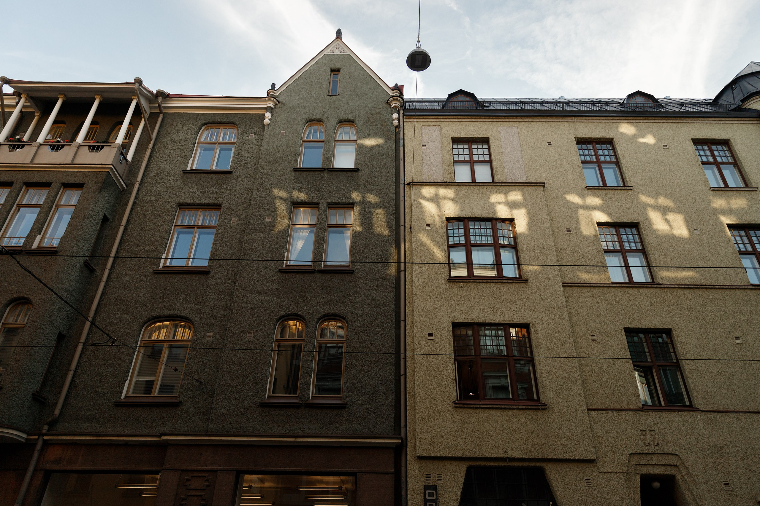 Helsinki. Kaja | fotograf psów we Wrocławiu