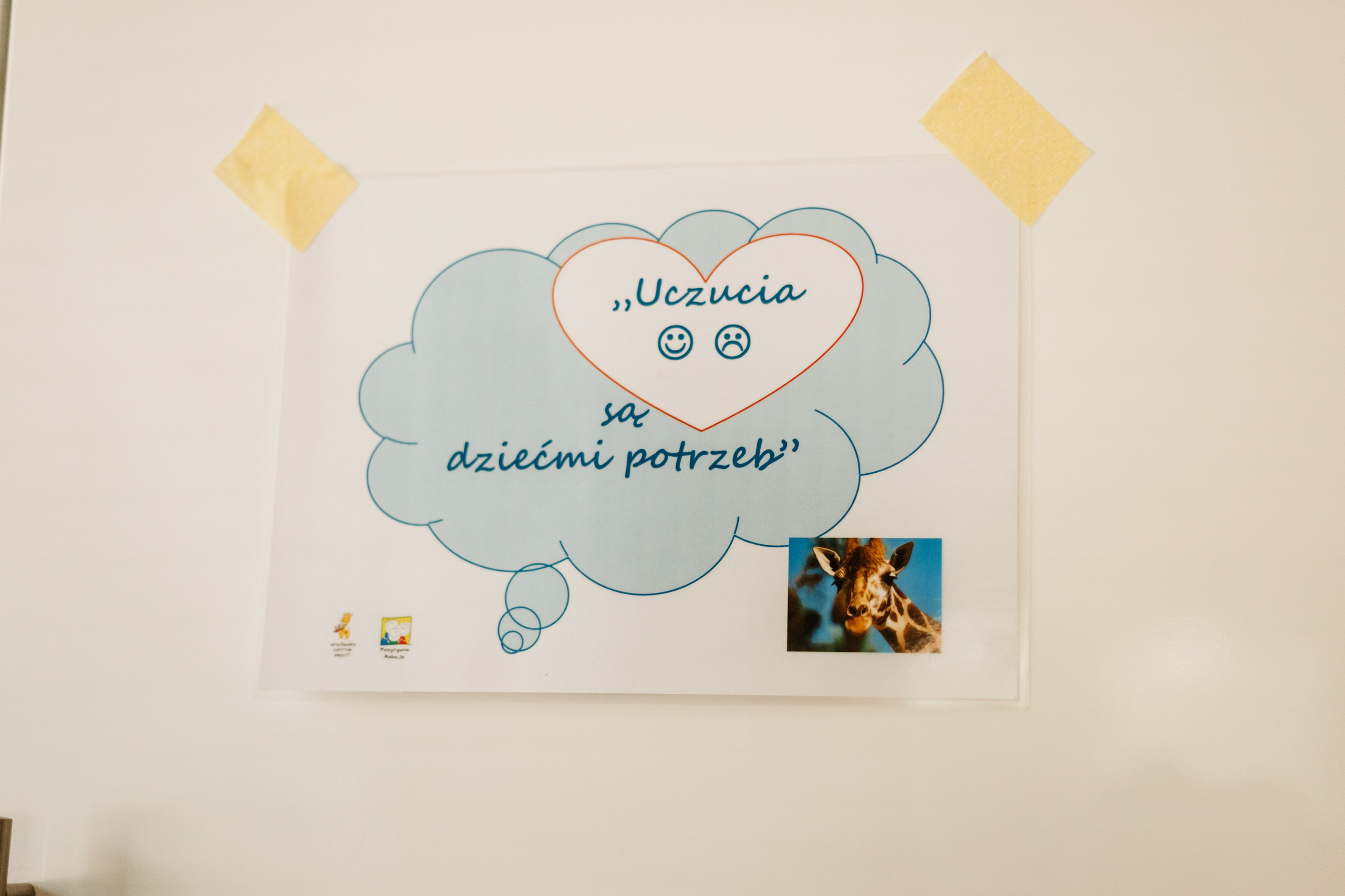 Małgorzata | business portrait. Kaja | fotograf we Wrocławiu | ludzie i psy