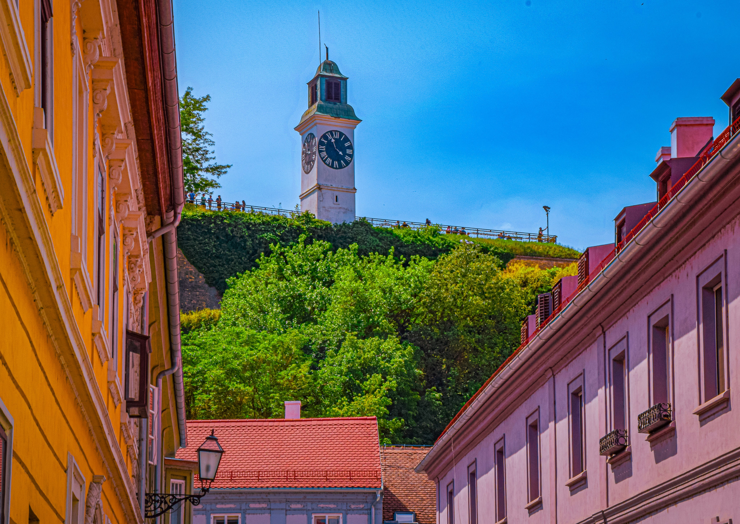 Петроварадин - галерија на продају. Викторија Федосеенко, фотограф у Србији