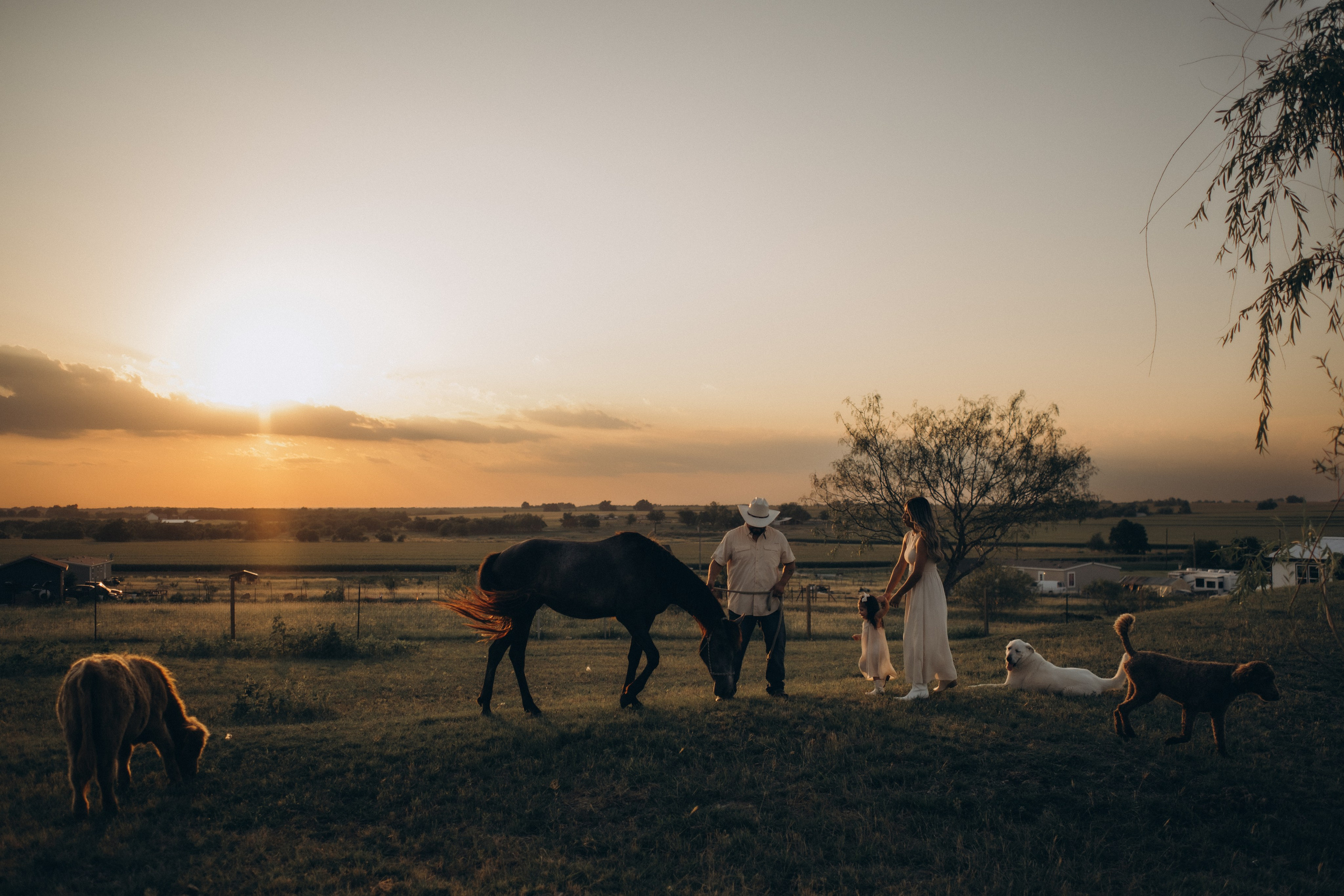 Farm Story. Lens Captures Life