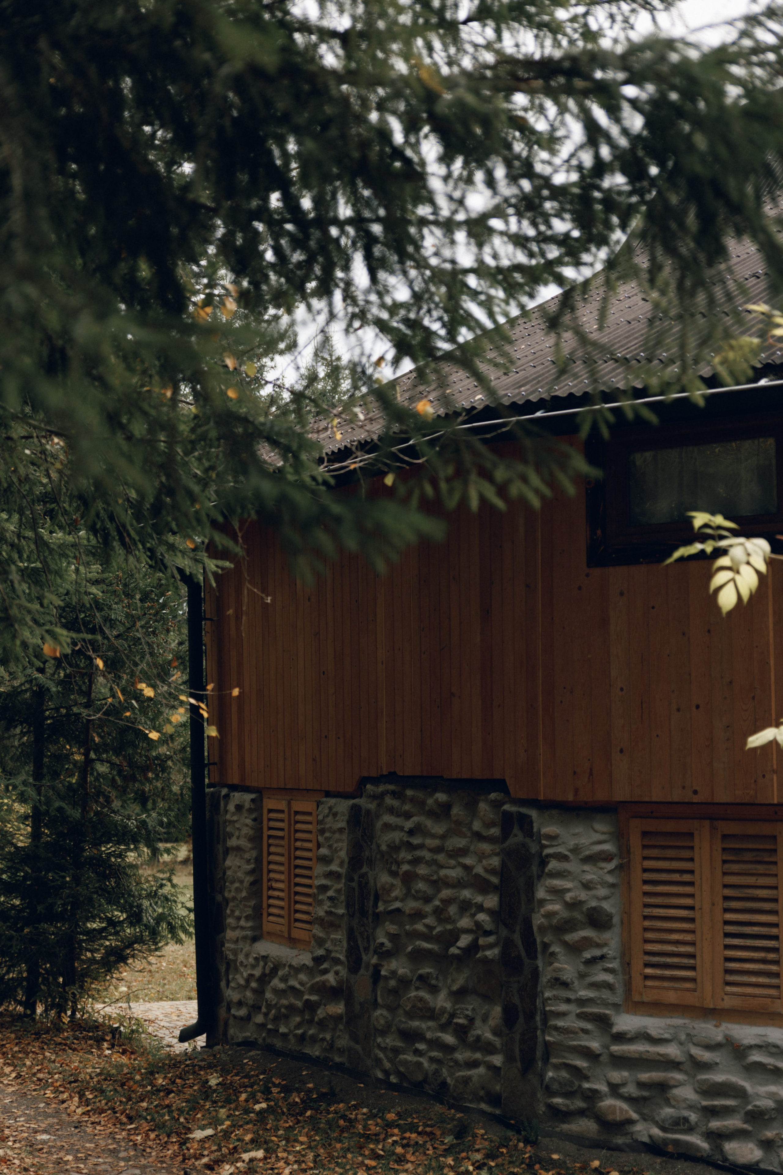 Airbnb photos. Patricia Morenci — Mountain Adventures for the Wild at Heart