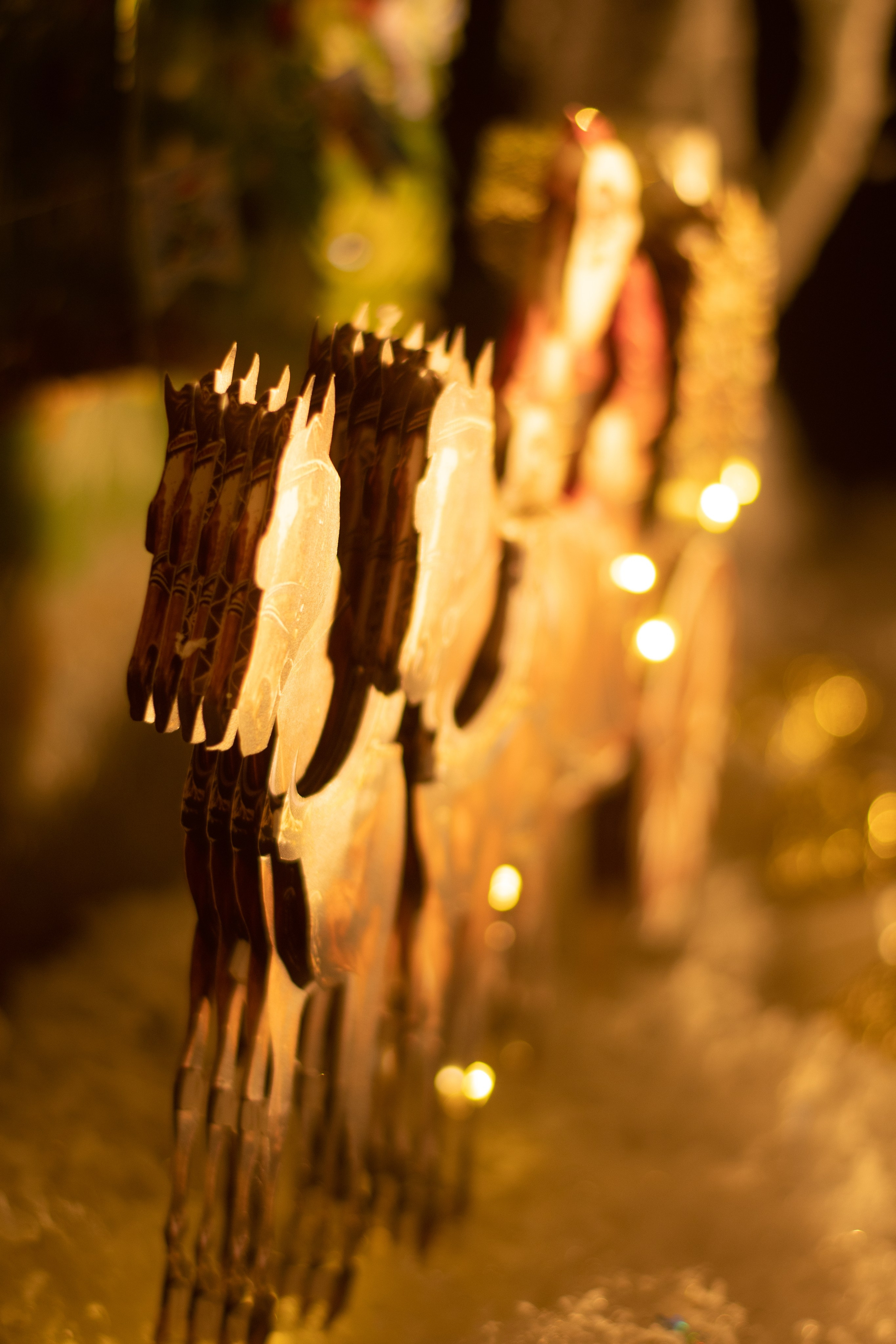 Проект. Семейный и детский фотограф