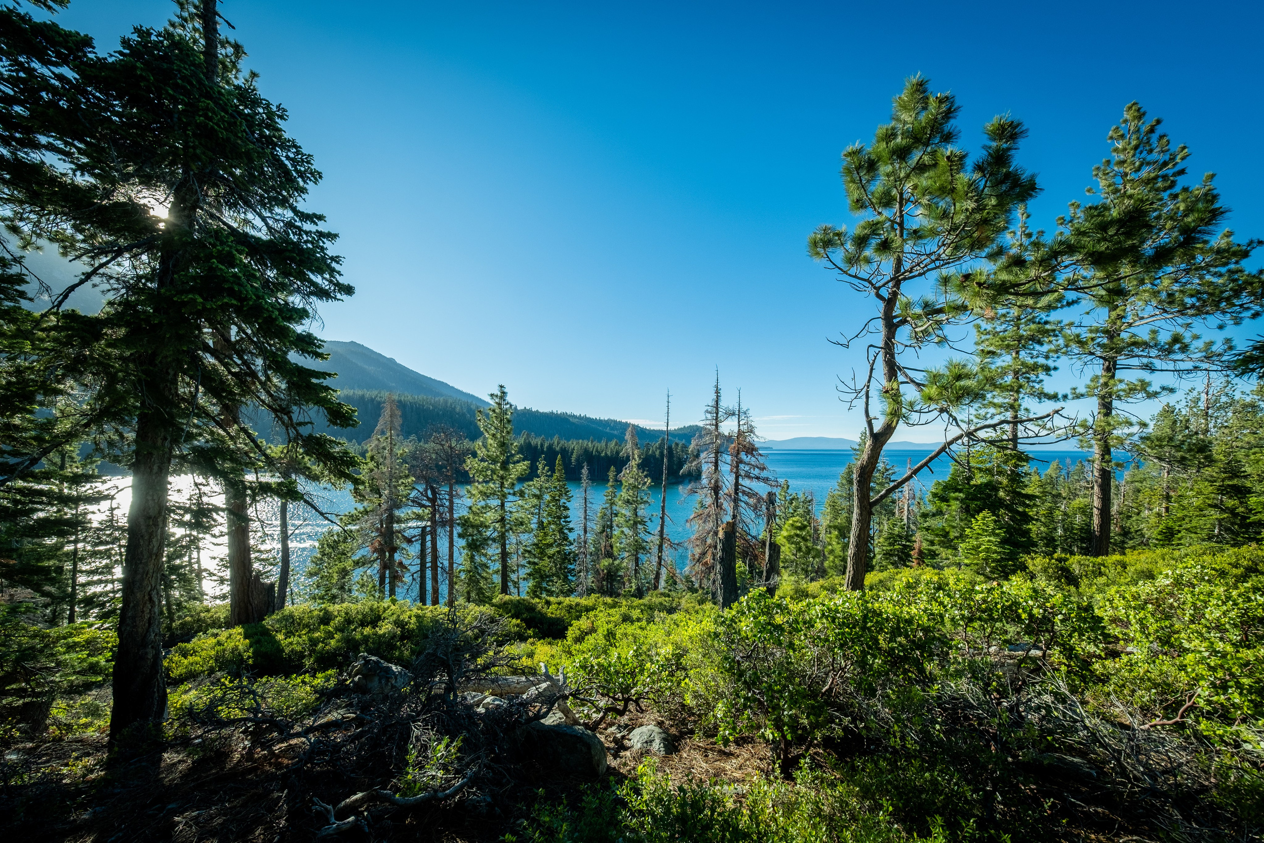 TAHOE. Reportage concert portrait photography in the San Francisco Bay Area