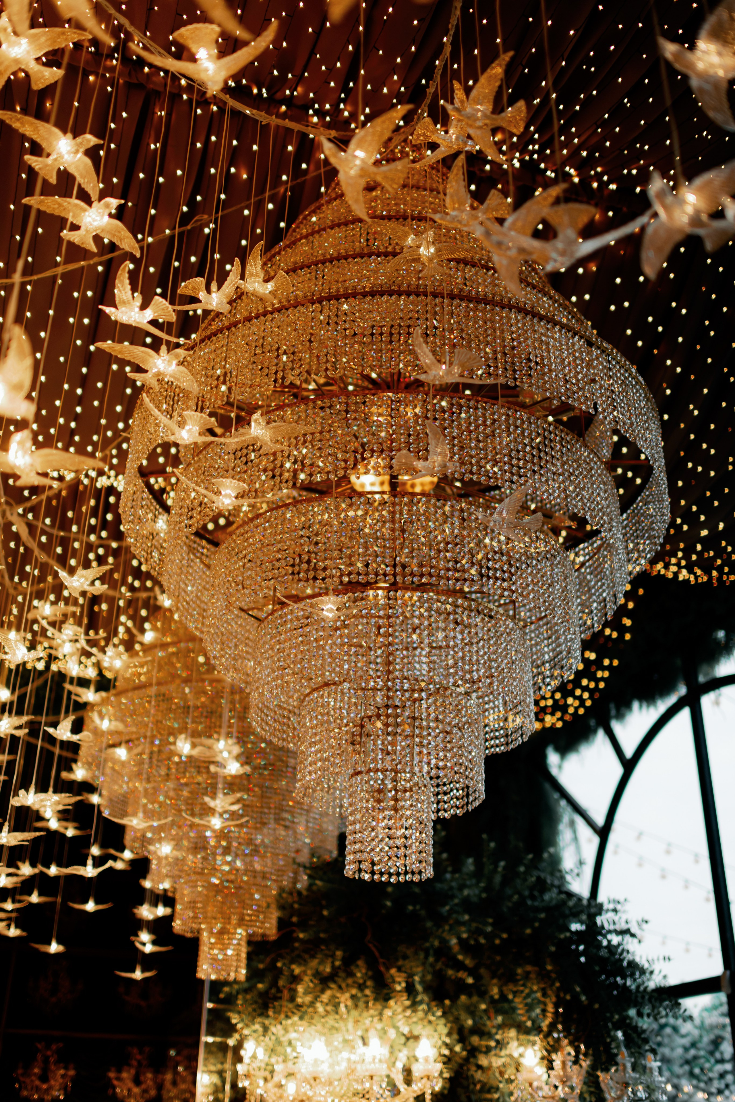 *. Maanukki photographer