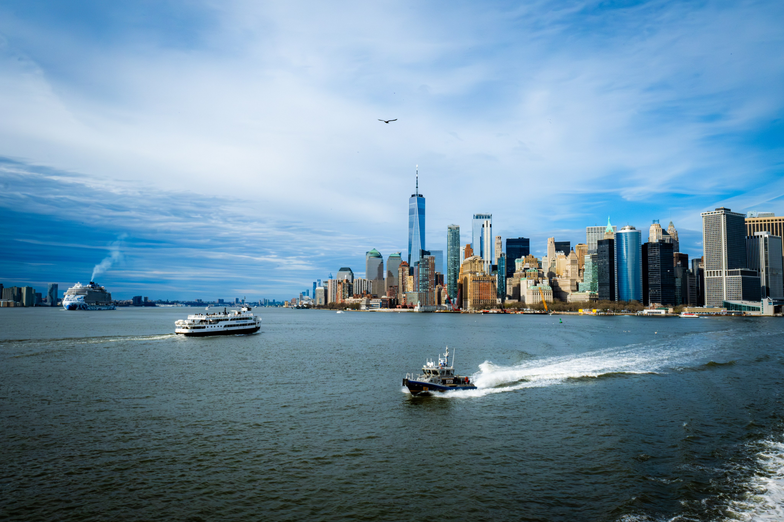 NEW YORK / 2025. Reportage concert portrait photography in the San Francisco Bay Area