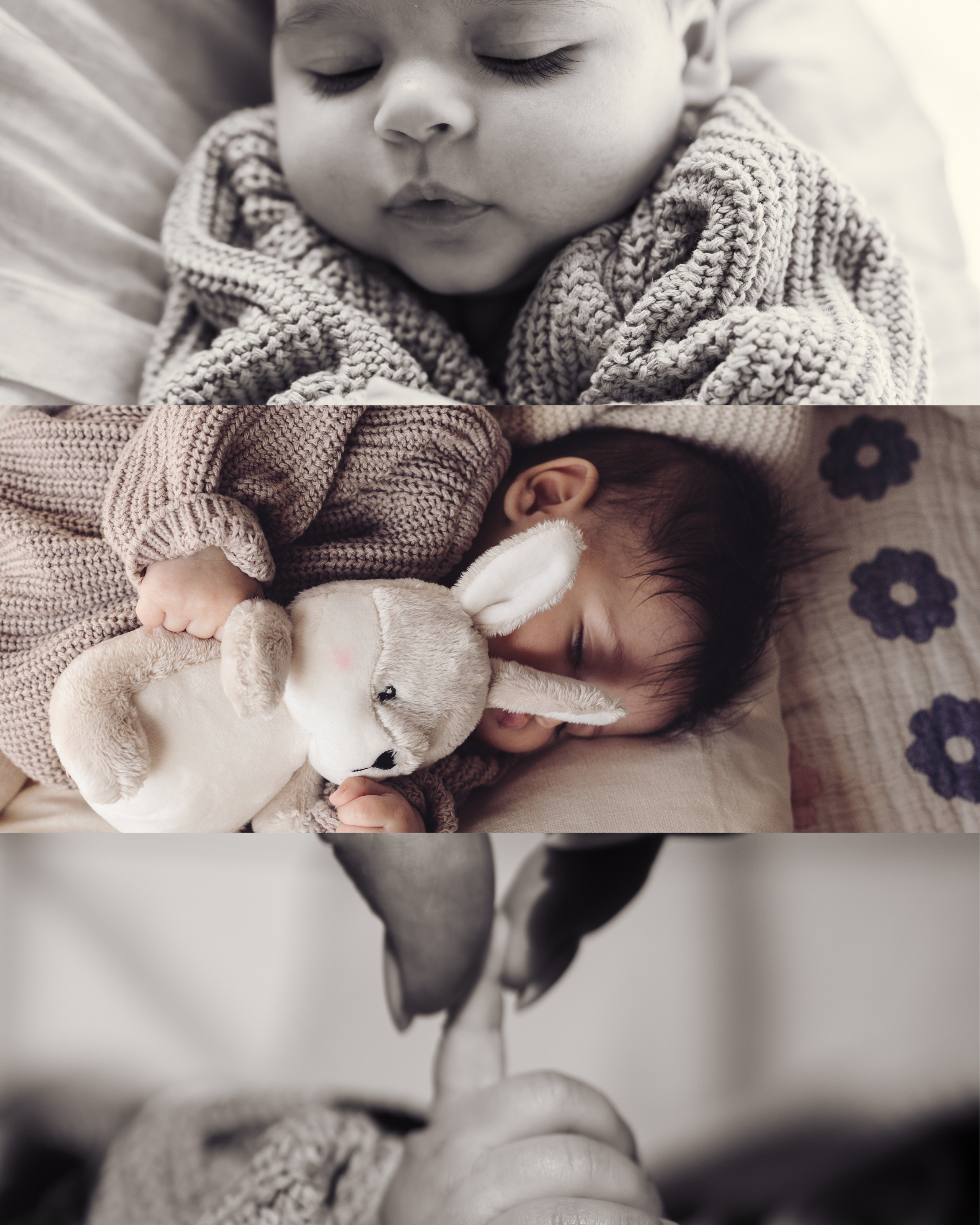 Welcome to the World. Dash_photopic.I’m Daria New York based photographer