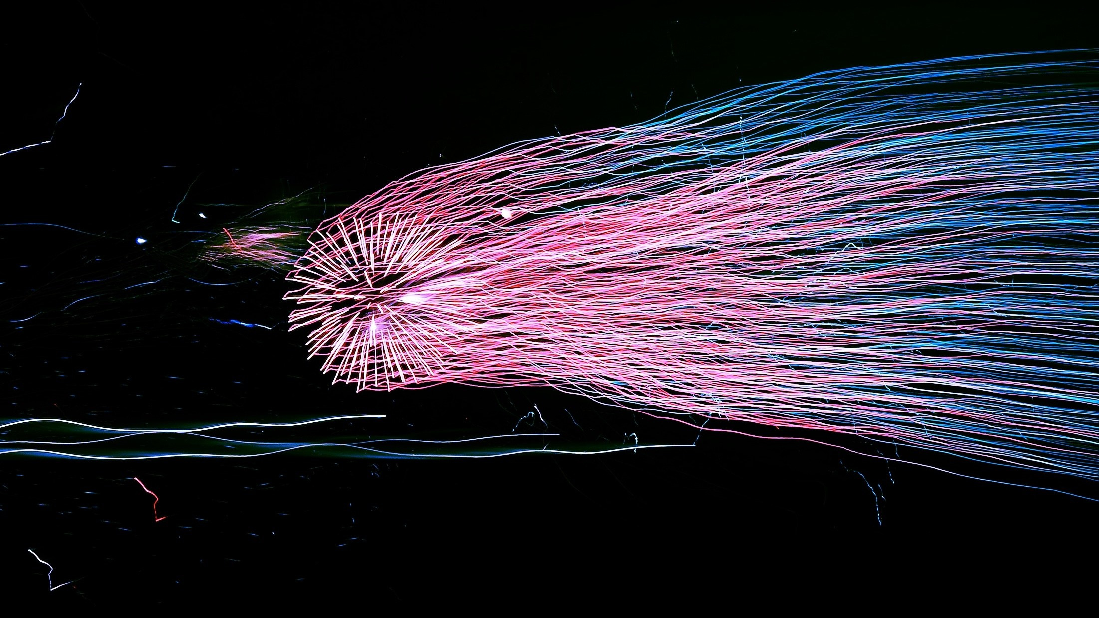 Fermented Solipsism artist & documentary photographer in California