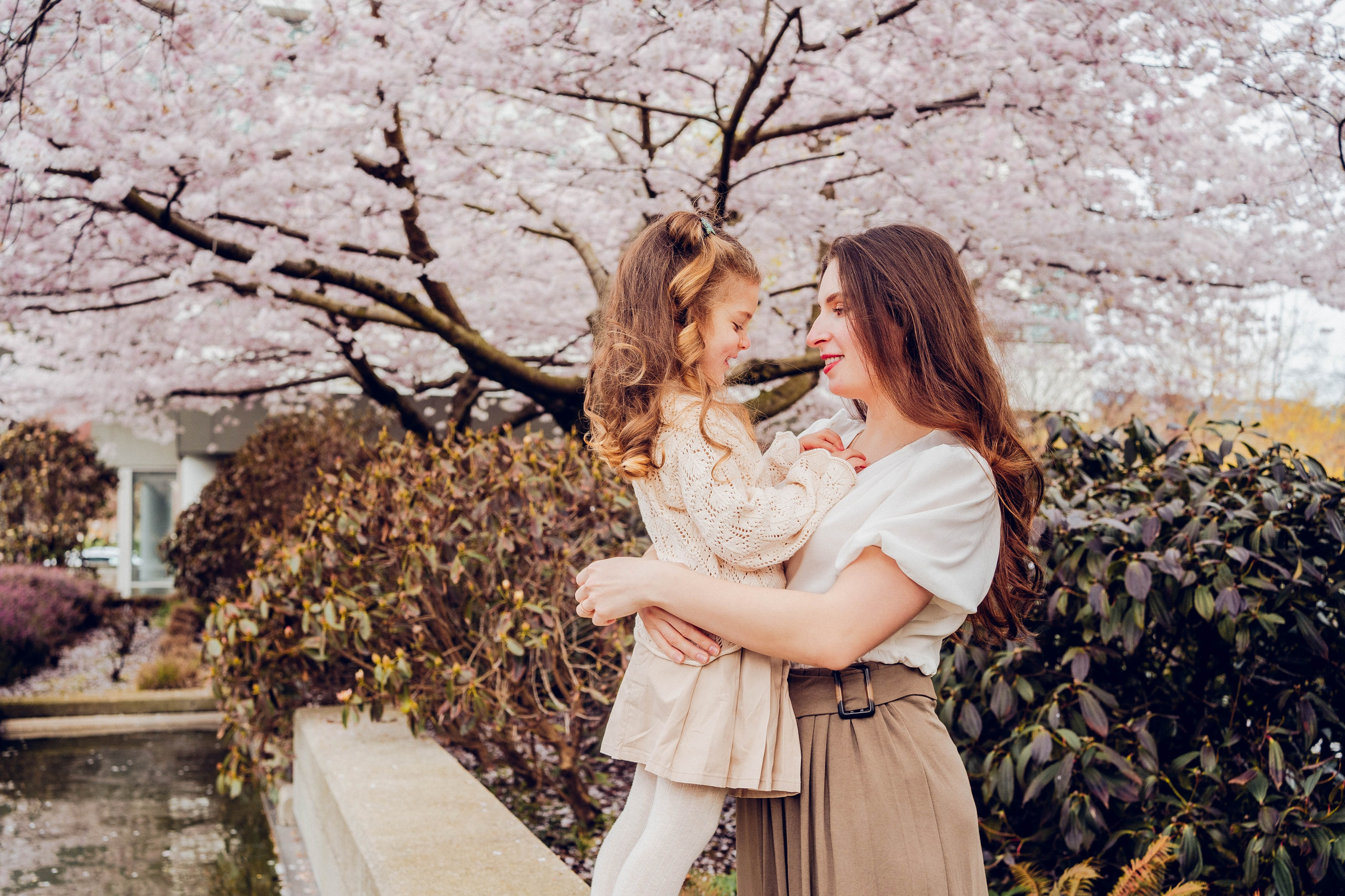 Cherry blossom. Main