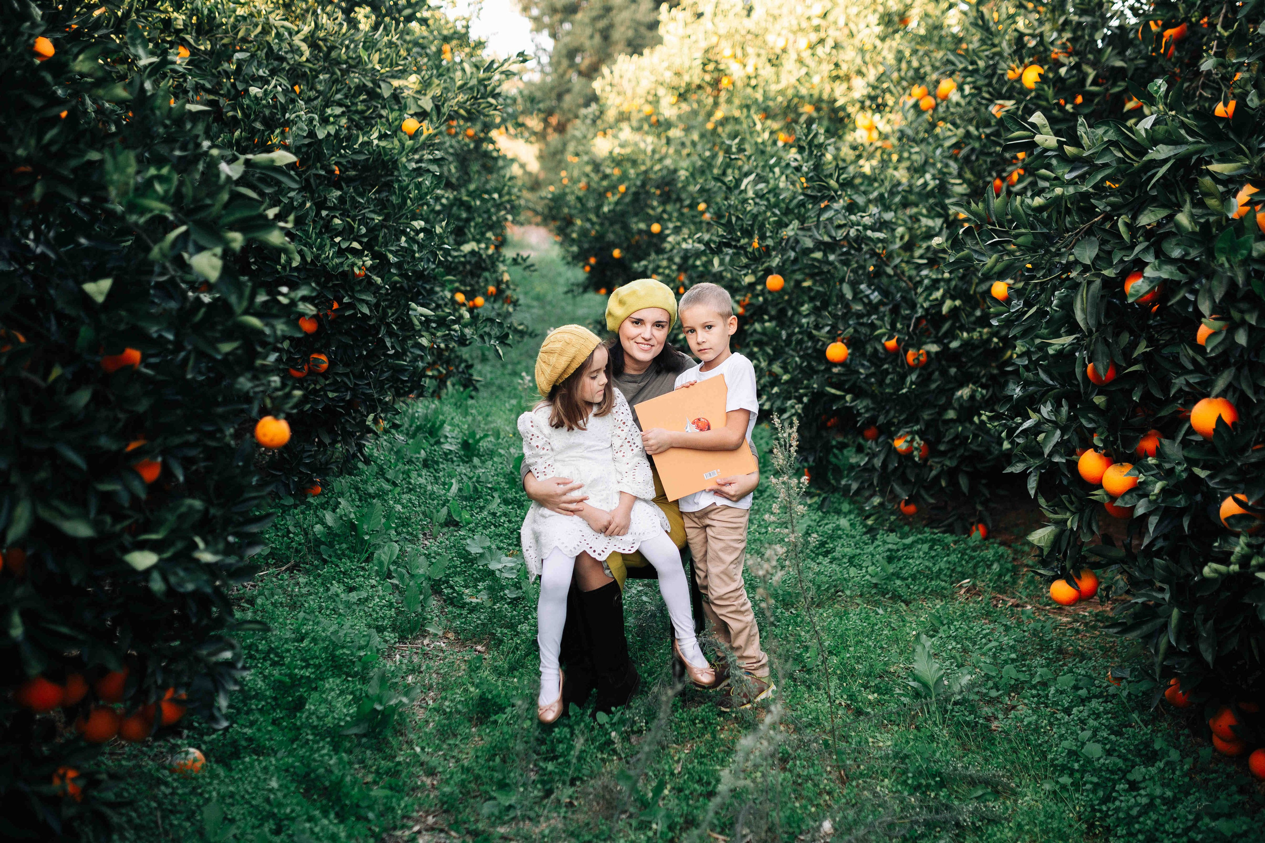 MANDARNINE GARDEN. Https://shi-photo.com/