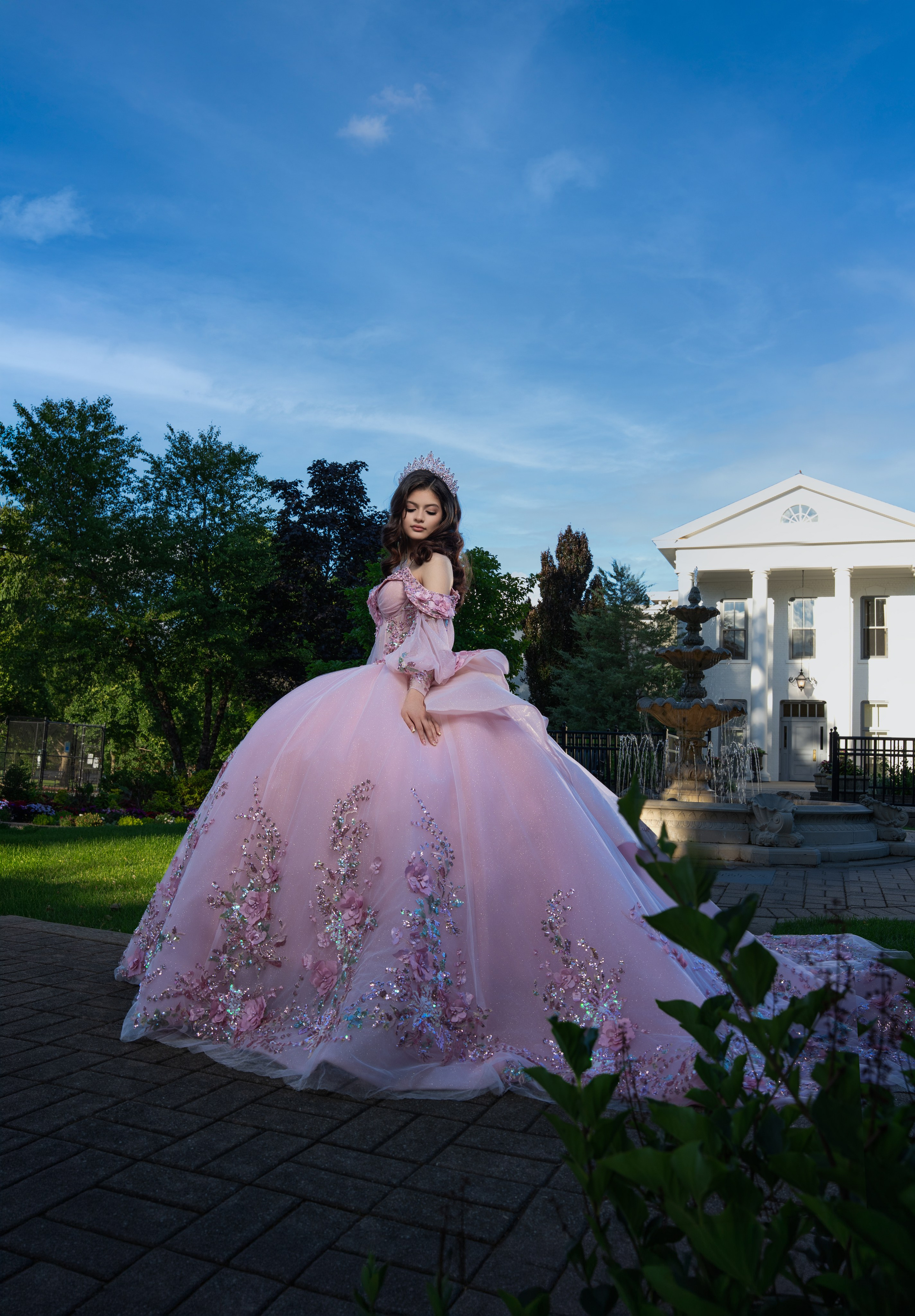 BRIANY XV. Quinceañera y Bodas