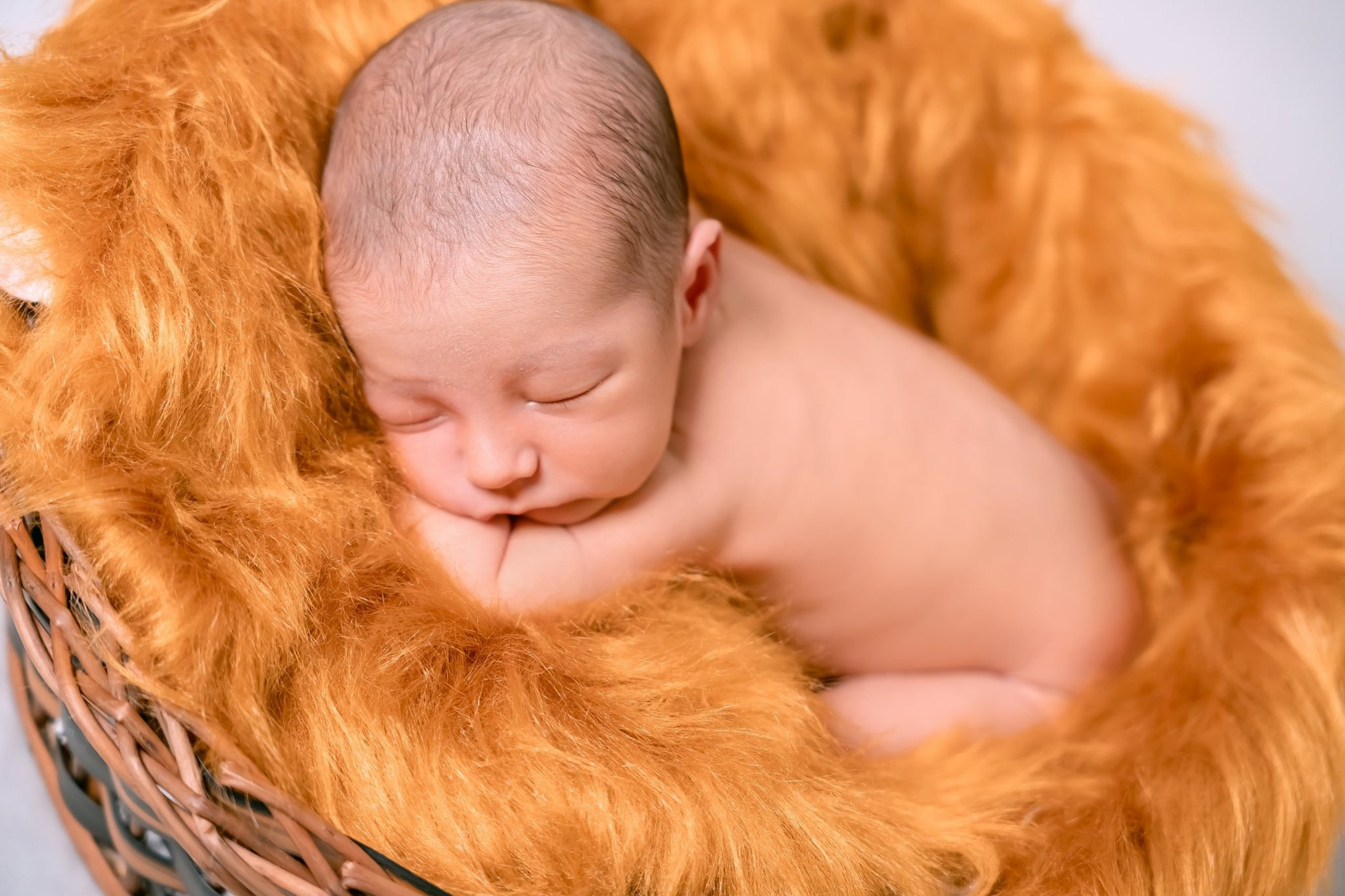 Gael — 30/12/2023. Luiz Medeiros Produções