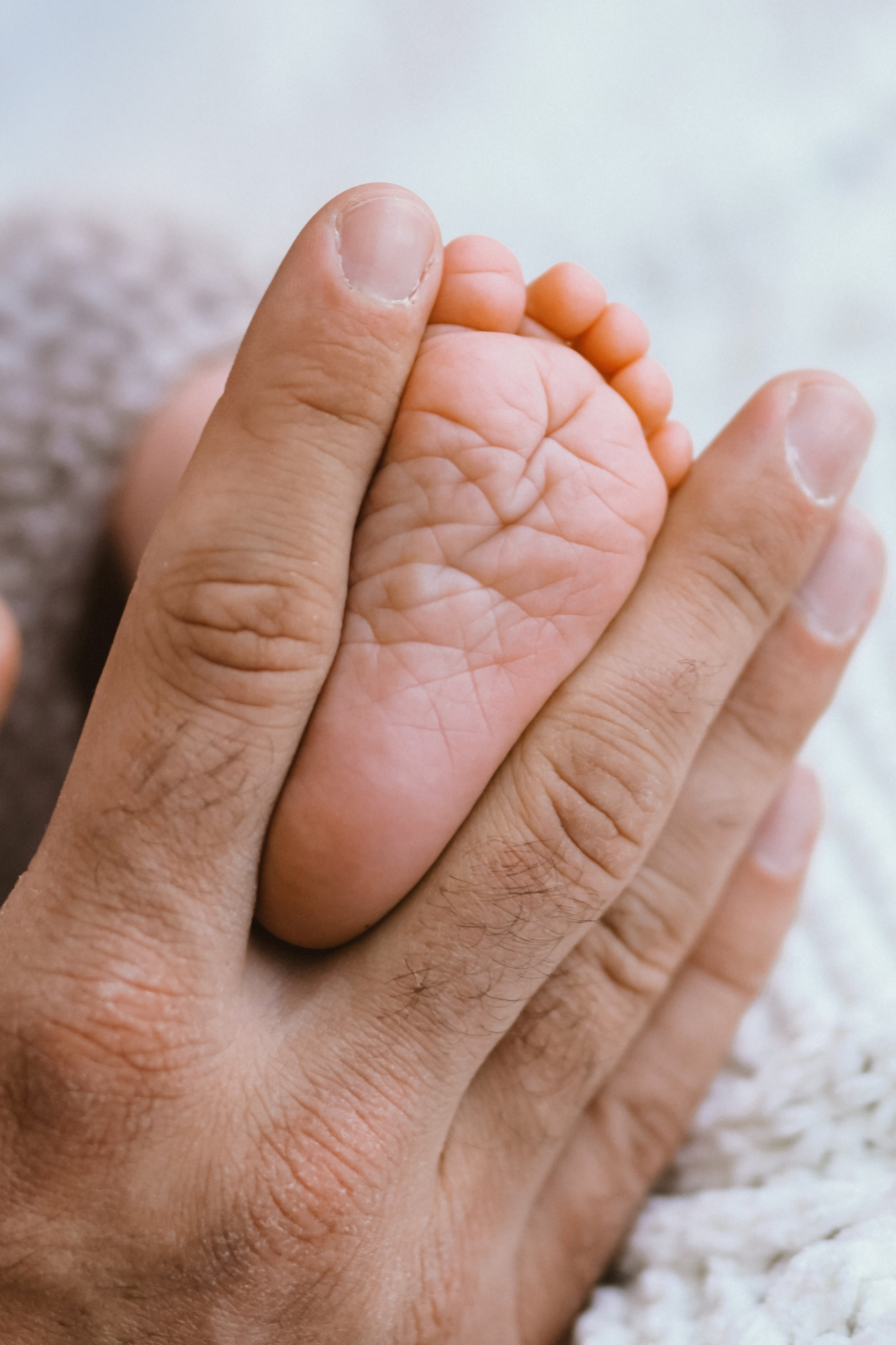 Babybauch & Newborn. Familienfotografin Svetlana Oberländer