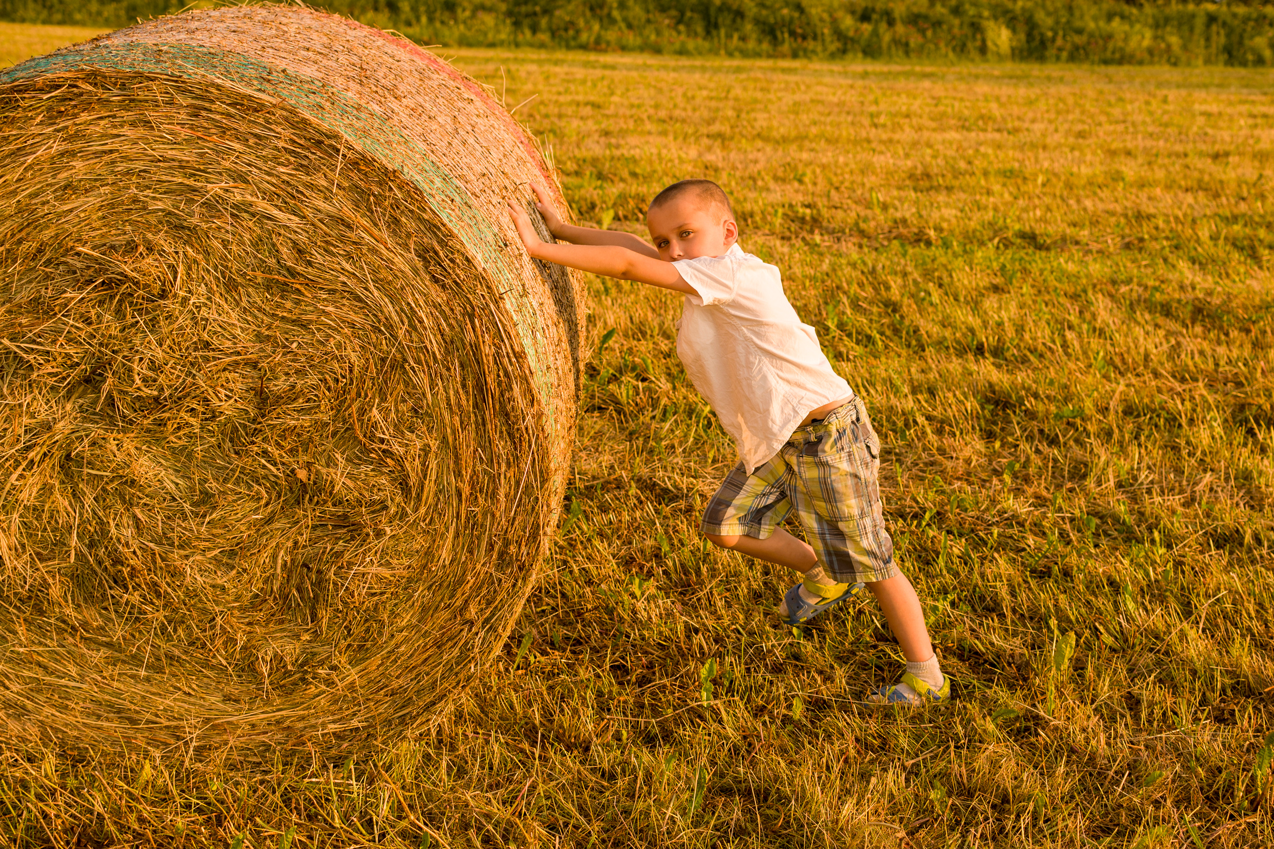 Джесамина 2 года. Кирилл 6 лет. Семейный и детский фотограф в Краславе
