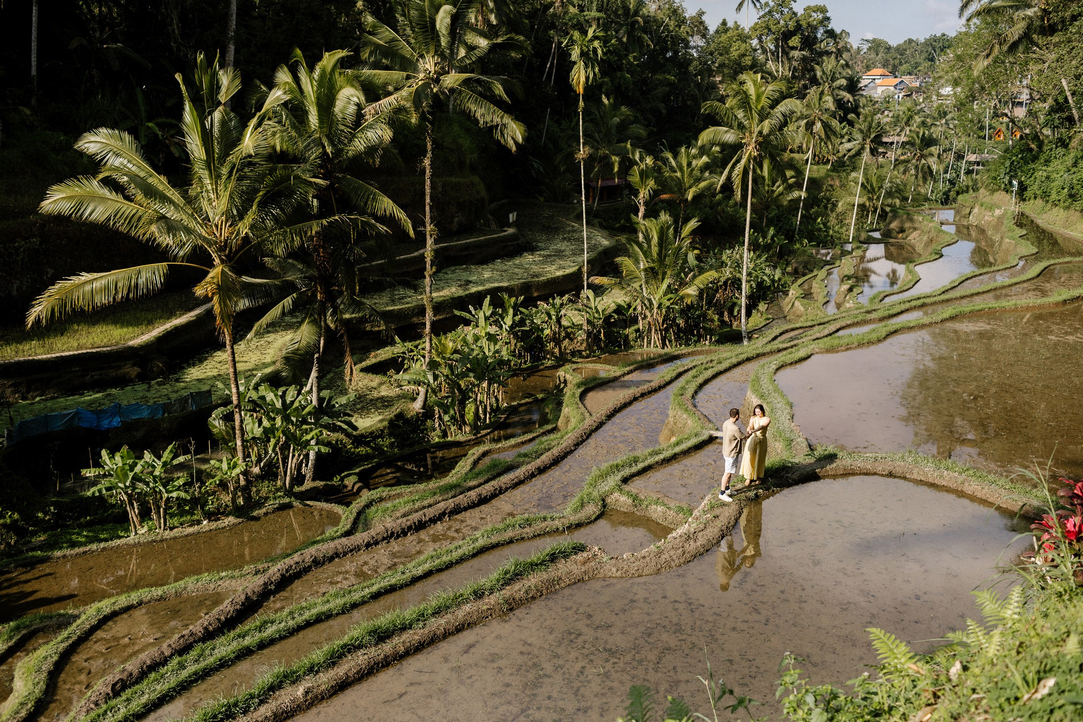 Rice Terraces. Getitfeel — Aesthetic Photography and Videography