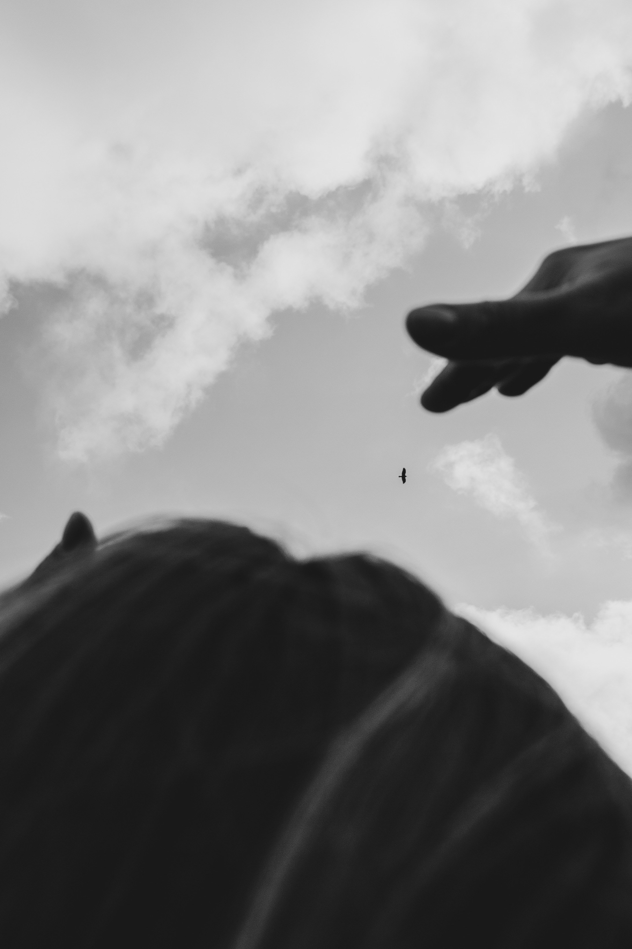 Frauen. Achtsame Fotografin| Margarita Mayer