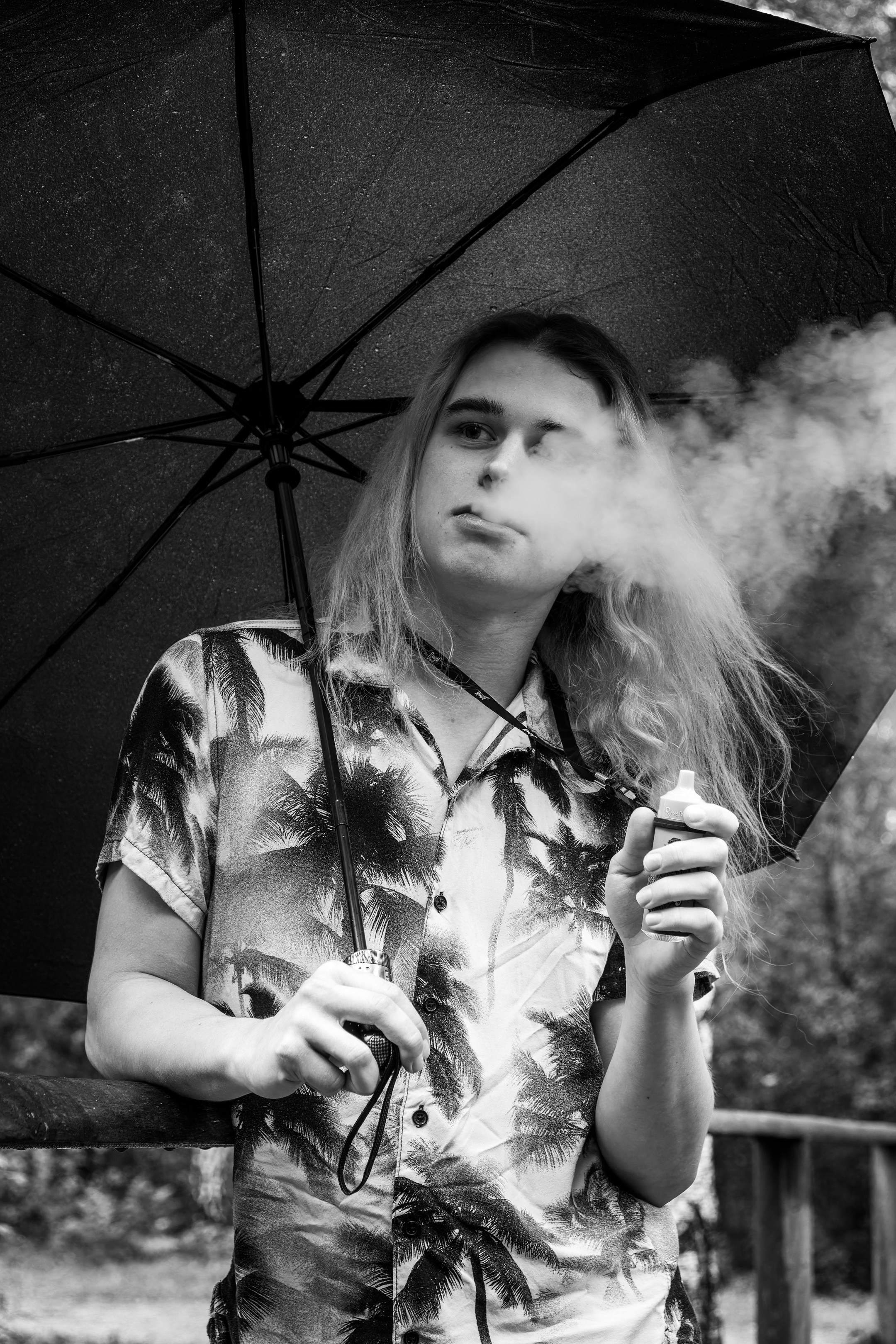 Mets, vihm ja jahedus (Dimitry). Nebula 25 — Fotod teie hingele