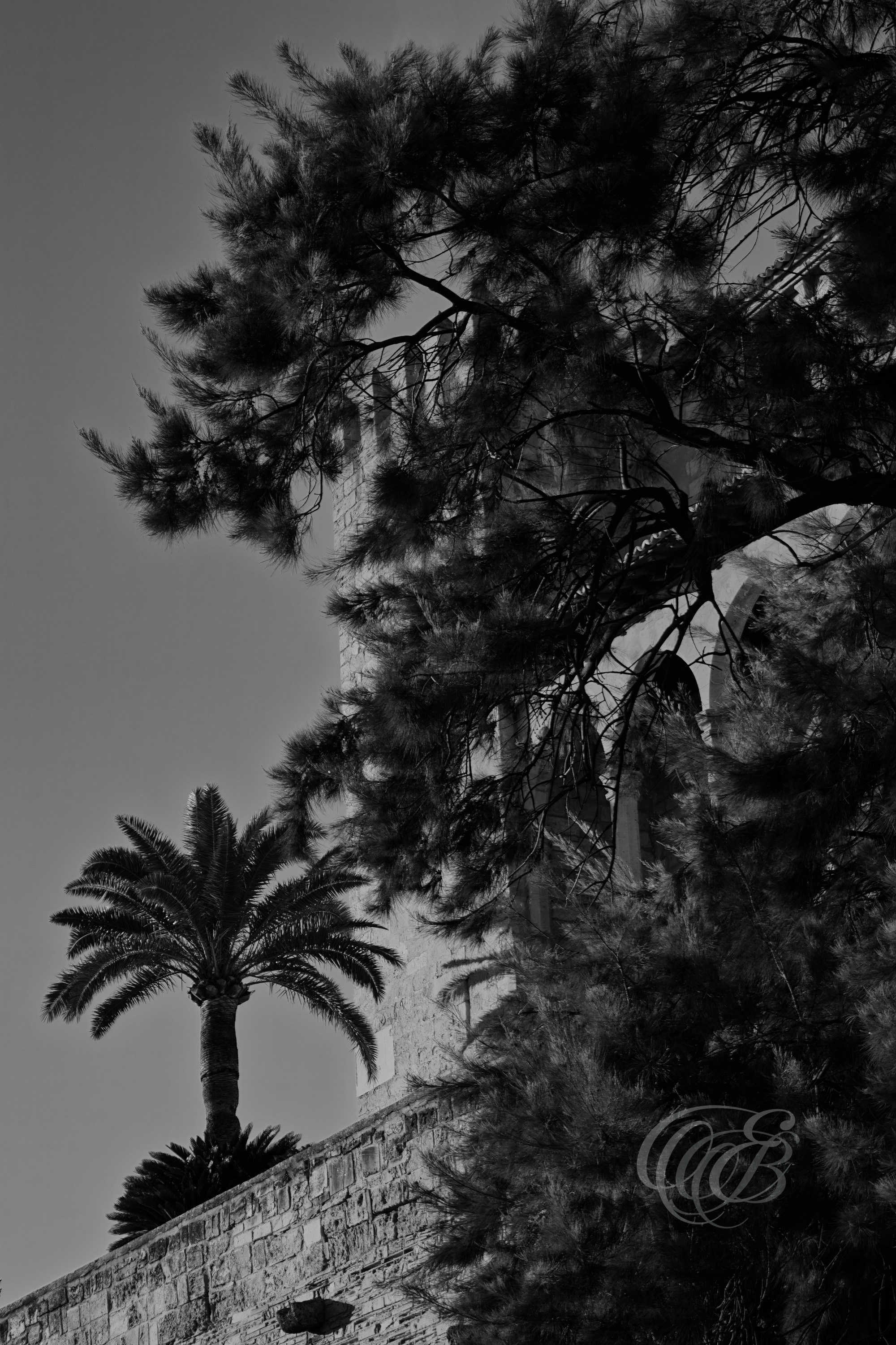 Mallorca in Black & White — Fine Art Photography Noir. Eduardo Bartoli Photography