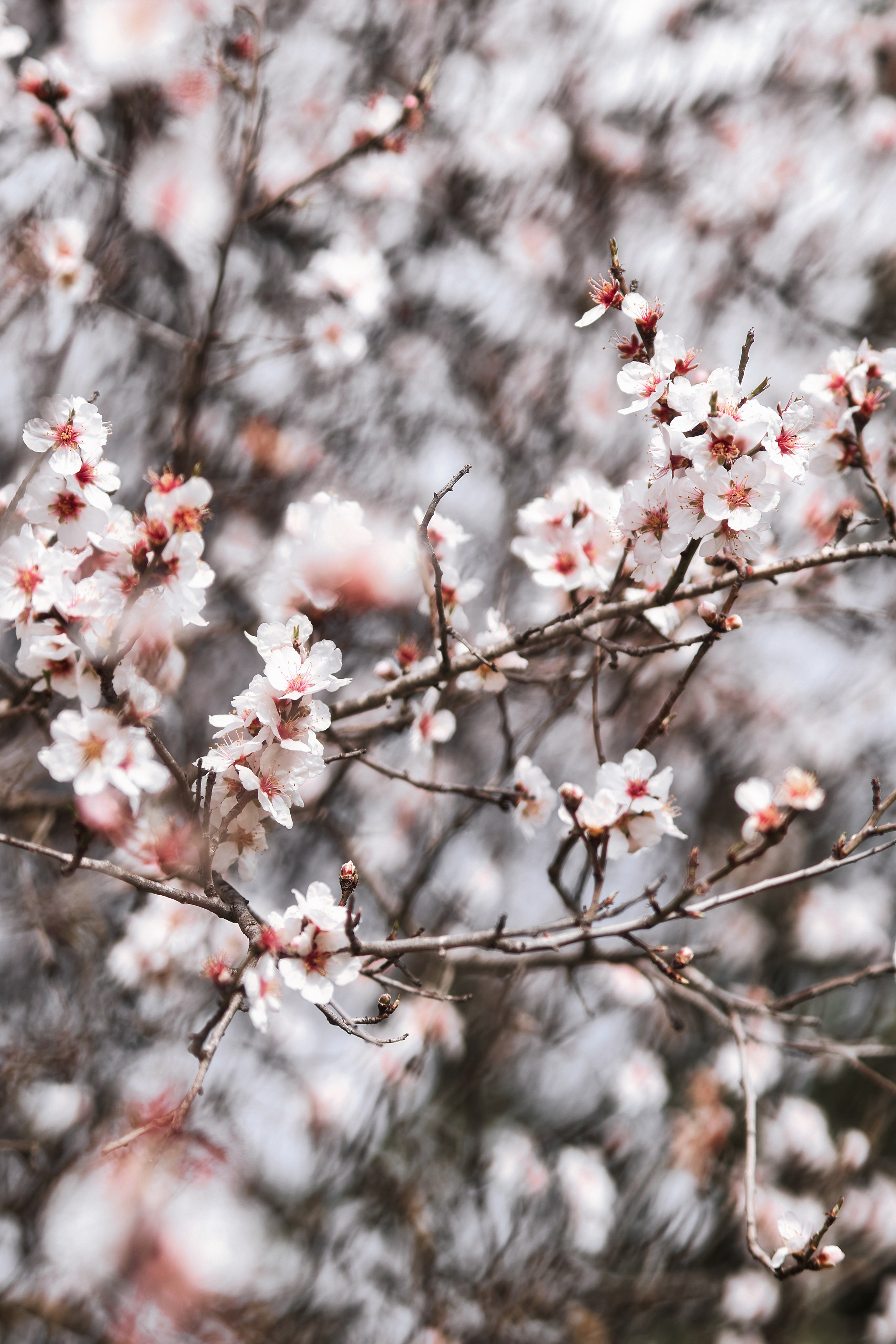 Индивидуальная фотосессия в Ларнаке. Март, 2023. Cyprus Vision. Φωτογραφίες και βίντεο στην Κύπρο — Αγία Νάπα, Πρωταράς