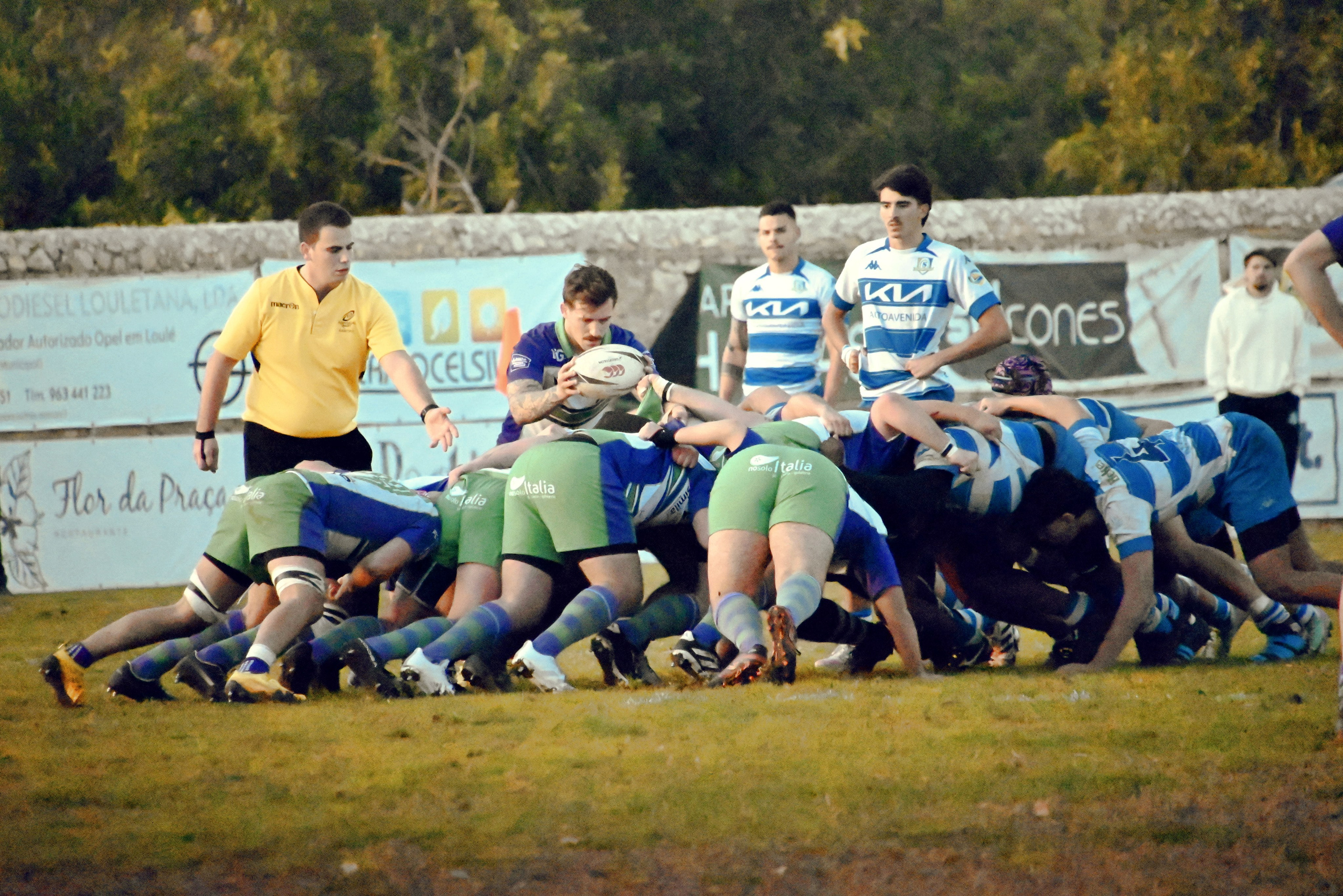 Ragby. Prime_Frame_Studio