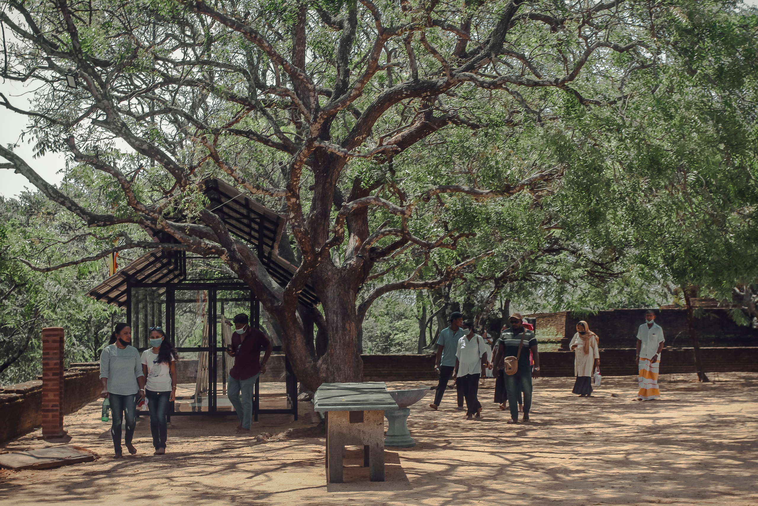 Sri Lanka. Art Photographer