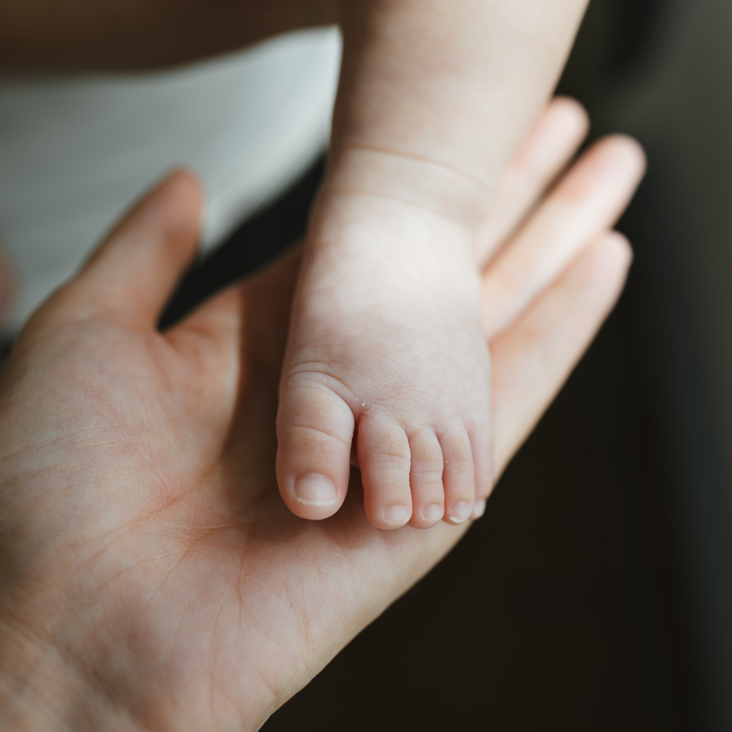 NewBorn photo shoot. Shanghai Family Photographer Dora
