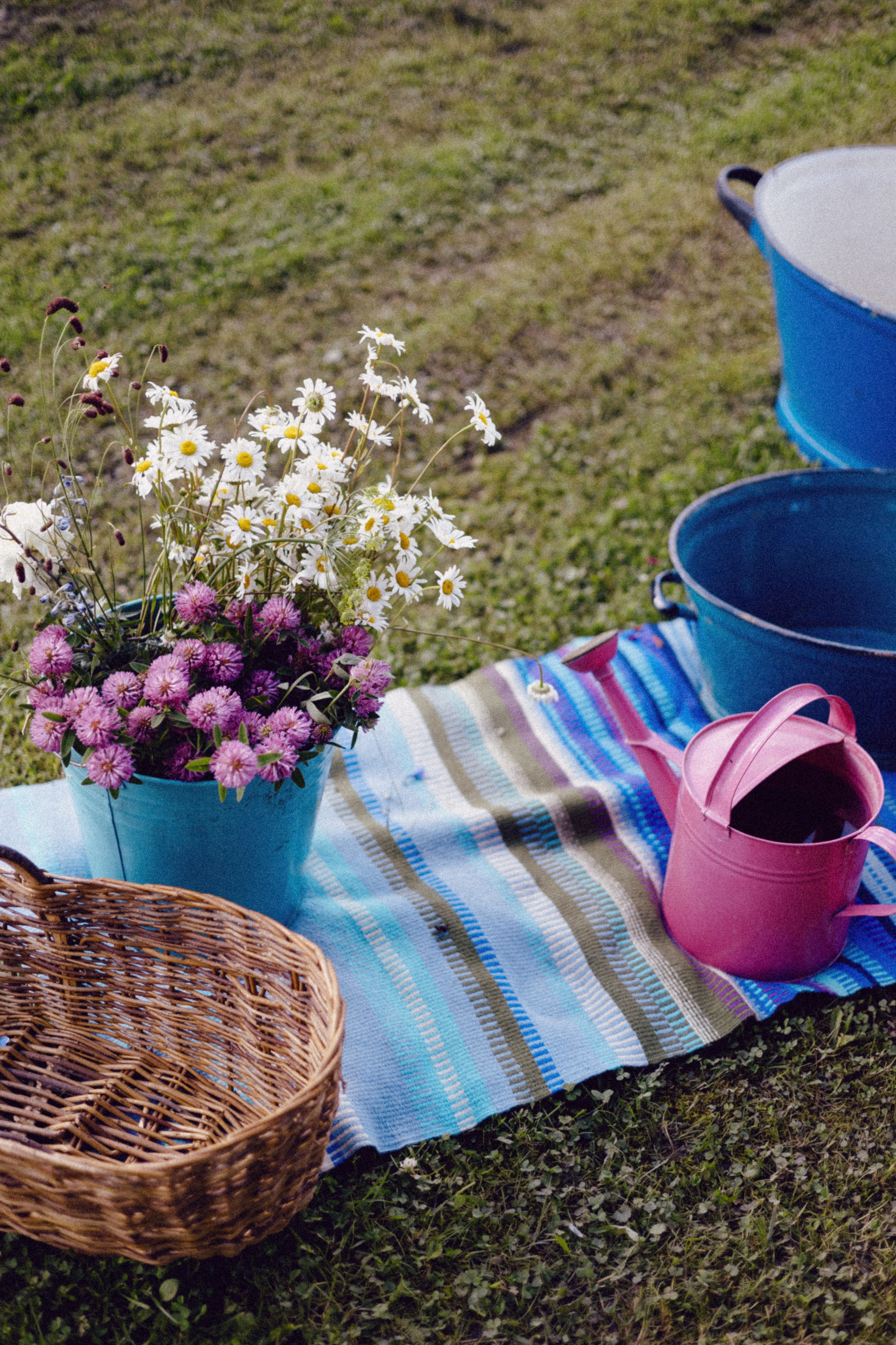 Vasara sode. Портретный фотограф Александра Самозванова