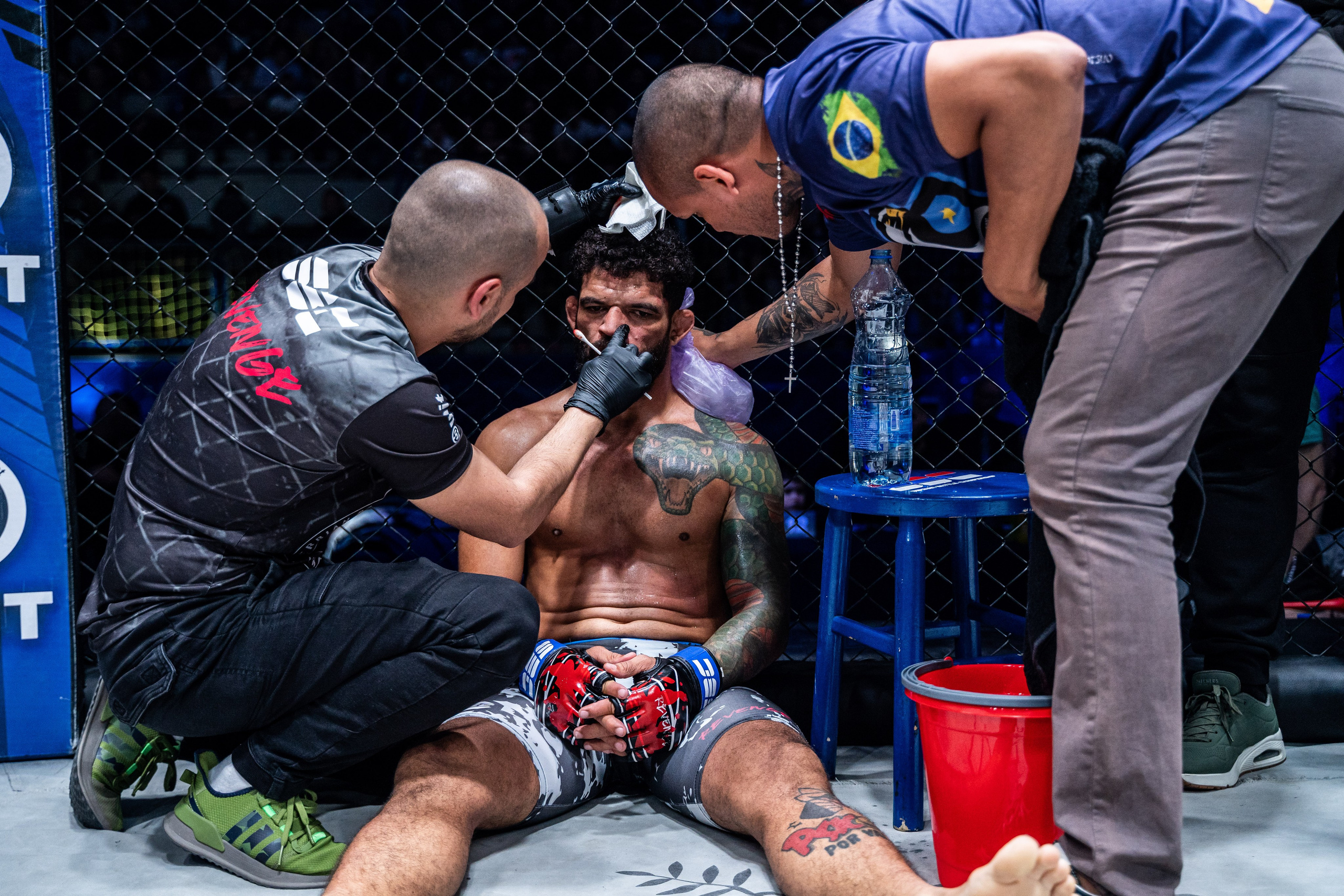 Sport. Wedding photography