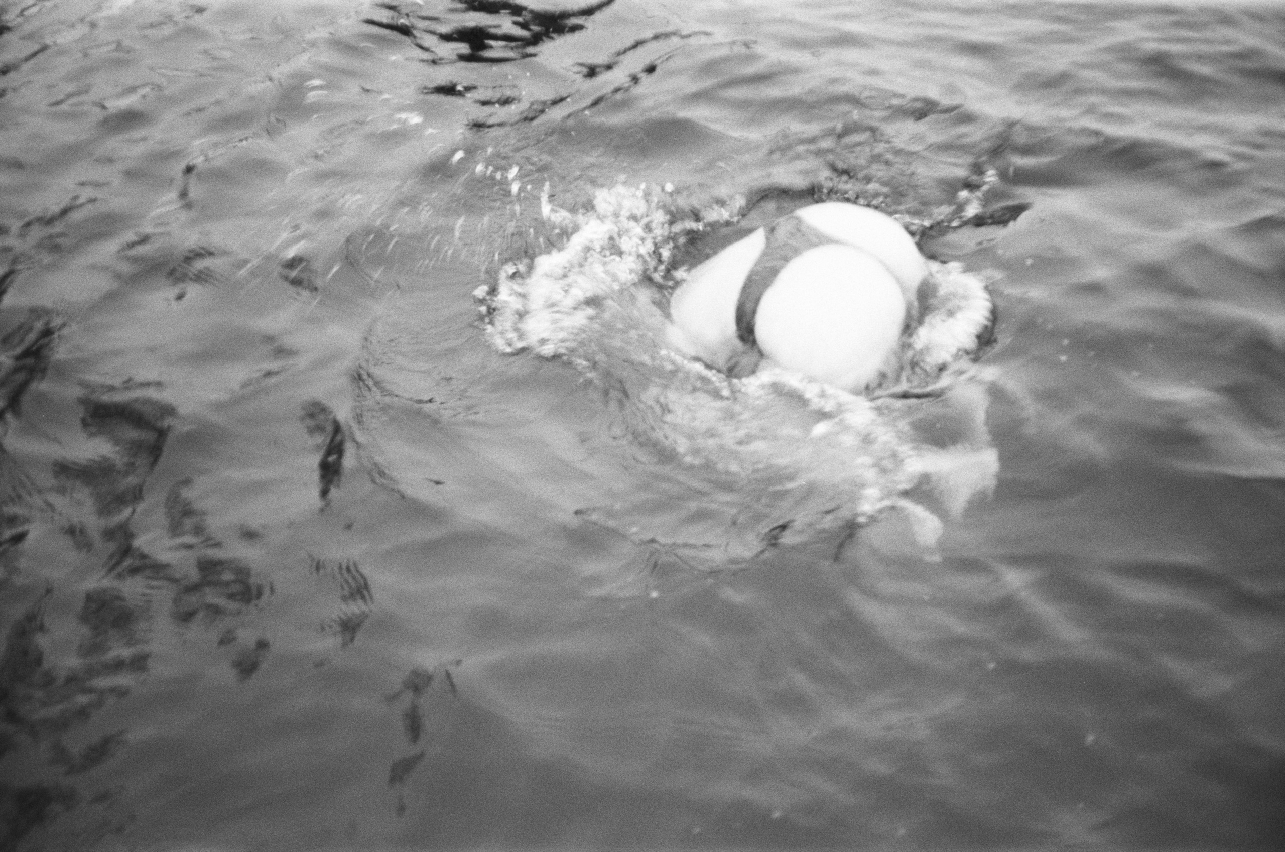 Marina, Winter swim. Chloé Heller — Fine Art / Documentary Photography
