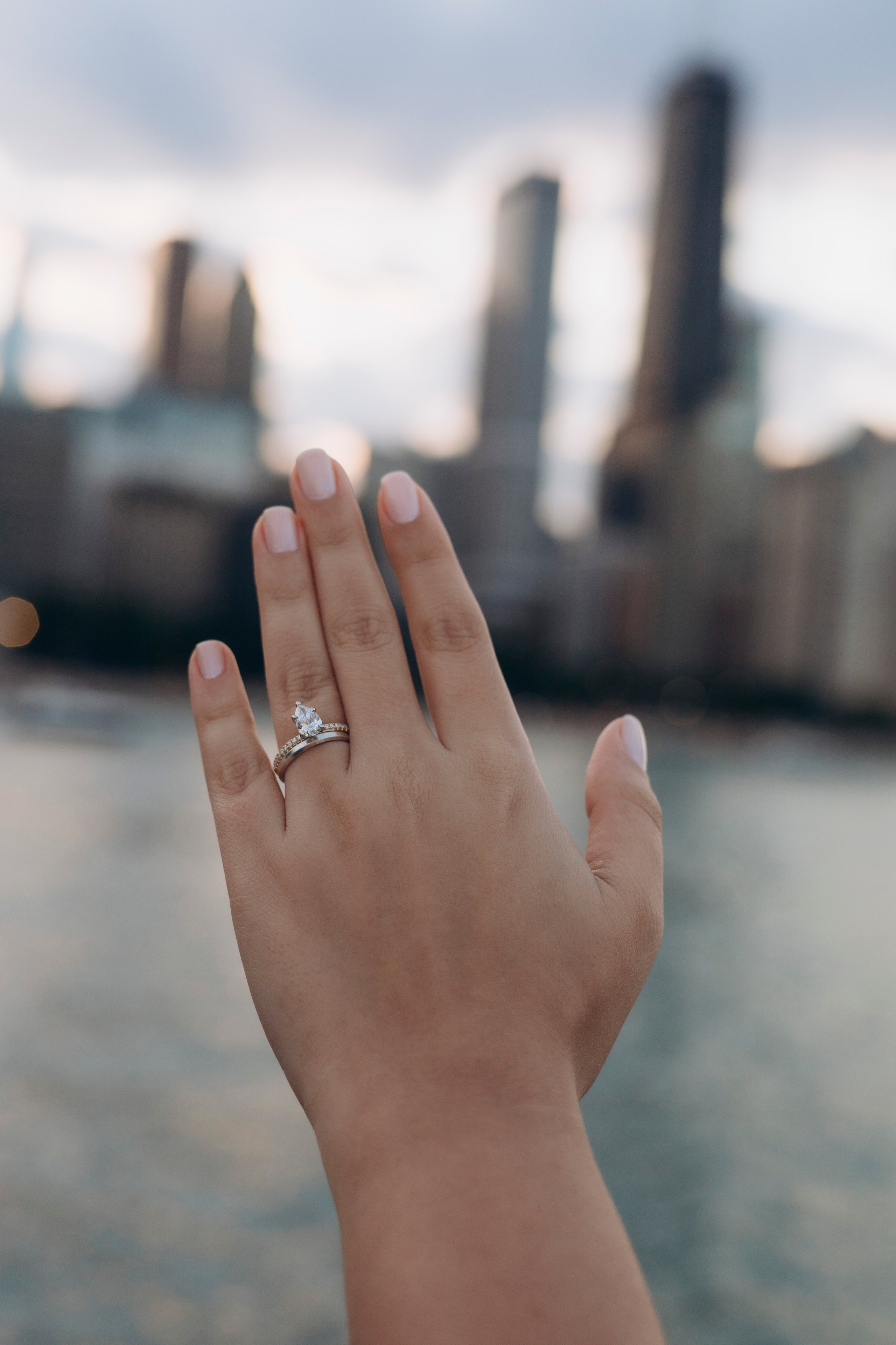 Milton Lee Olive Park Proposal — Chicago Photographer