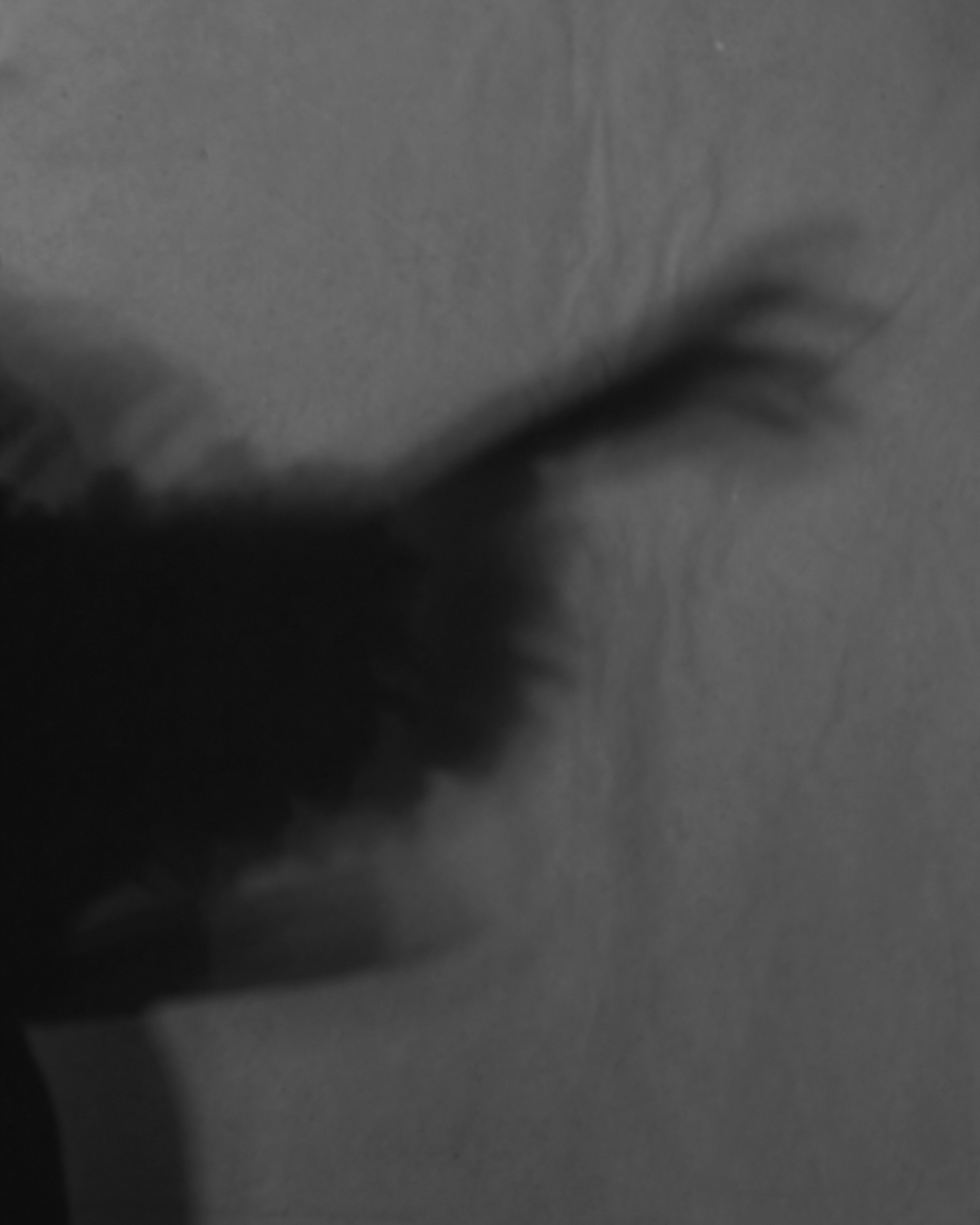 Fashion. Alireza Sahebi Photographer