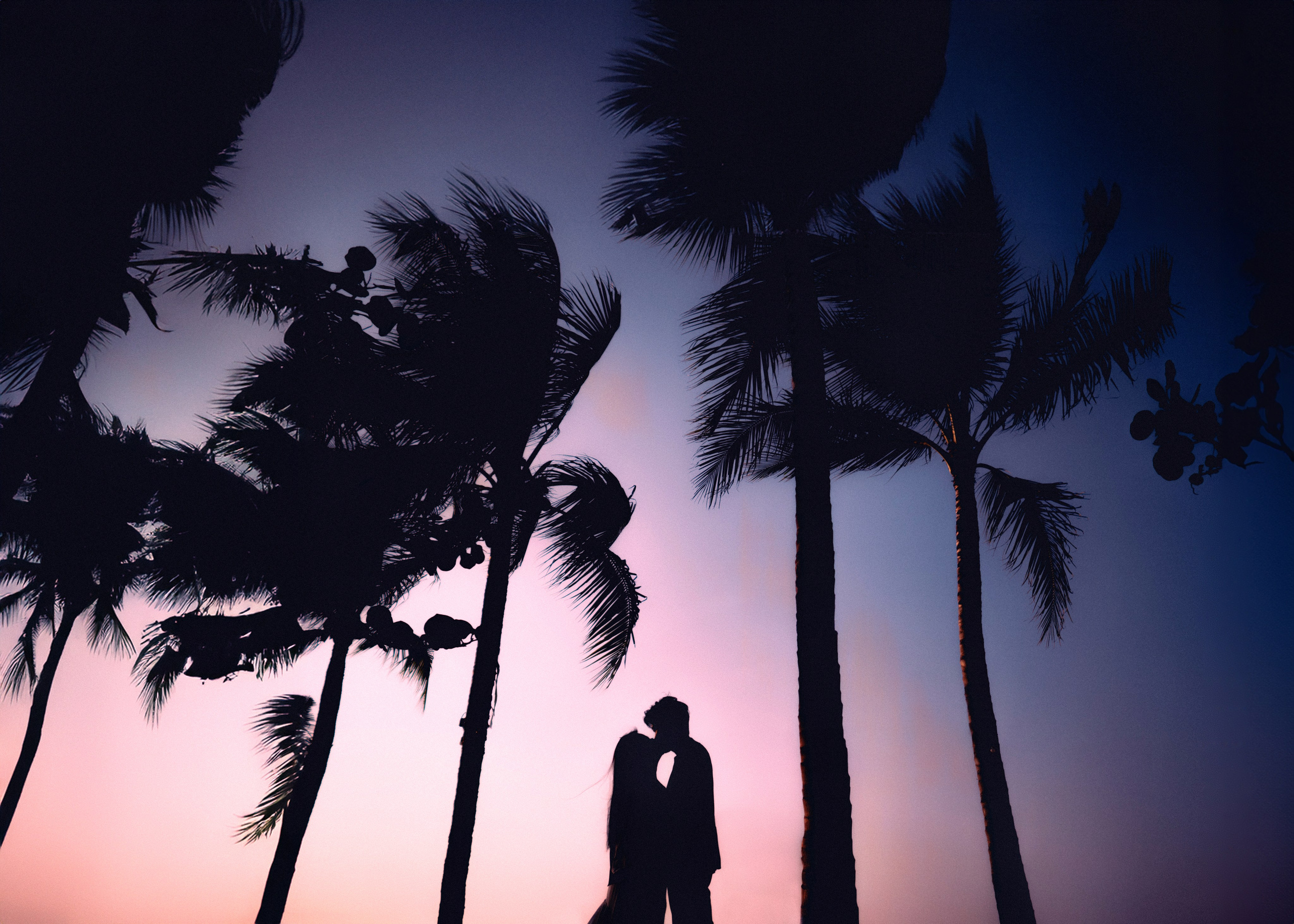 Wedding. Photographer in Nha Trang — Dani Prokopenko