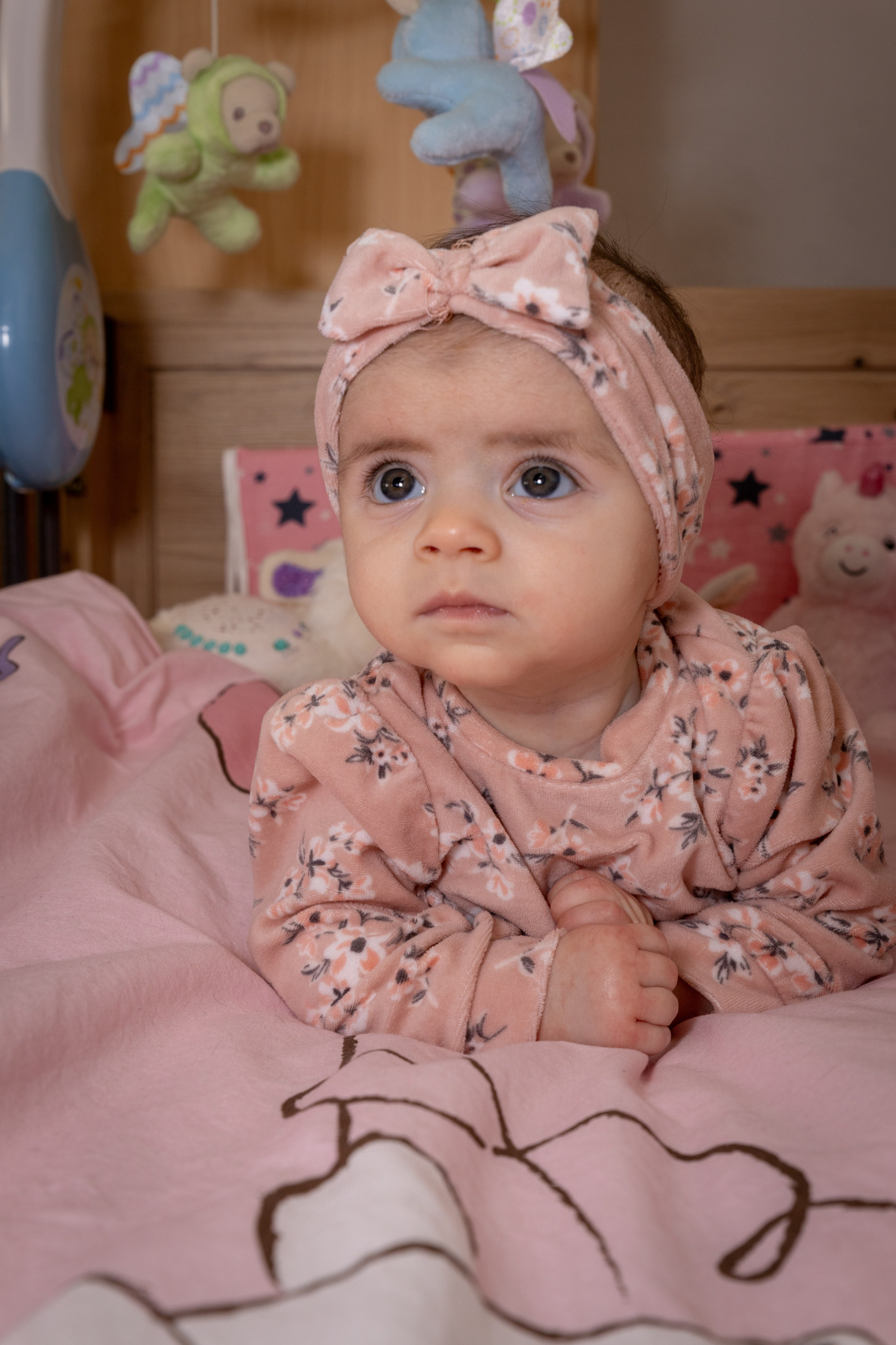 Camelia Ioana 08.02.2025