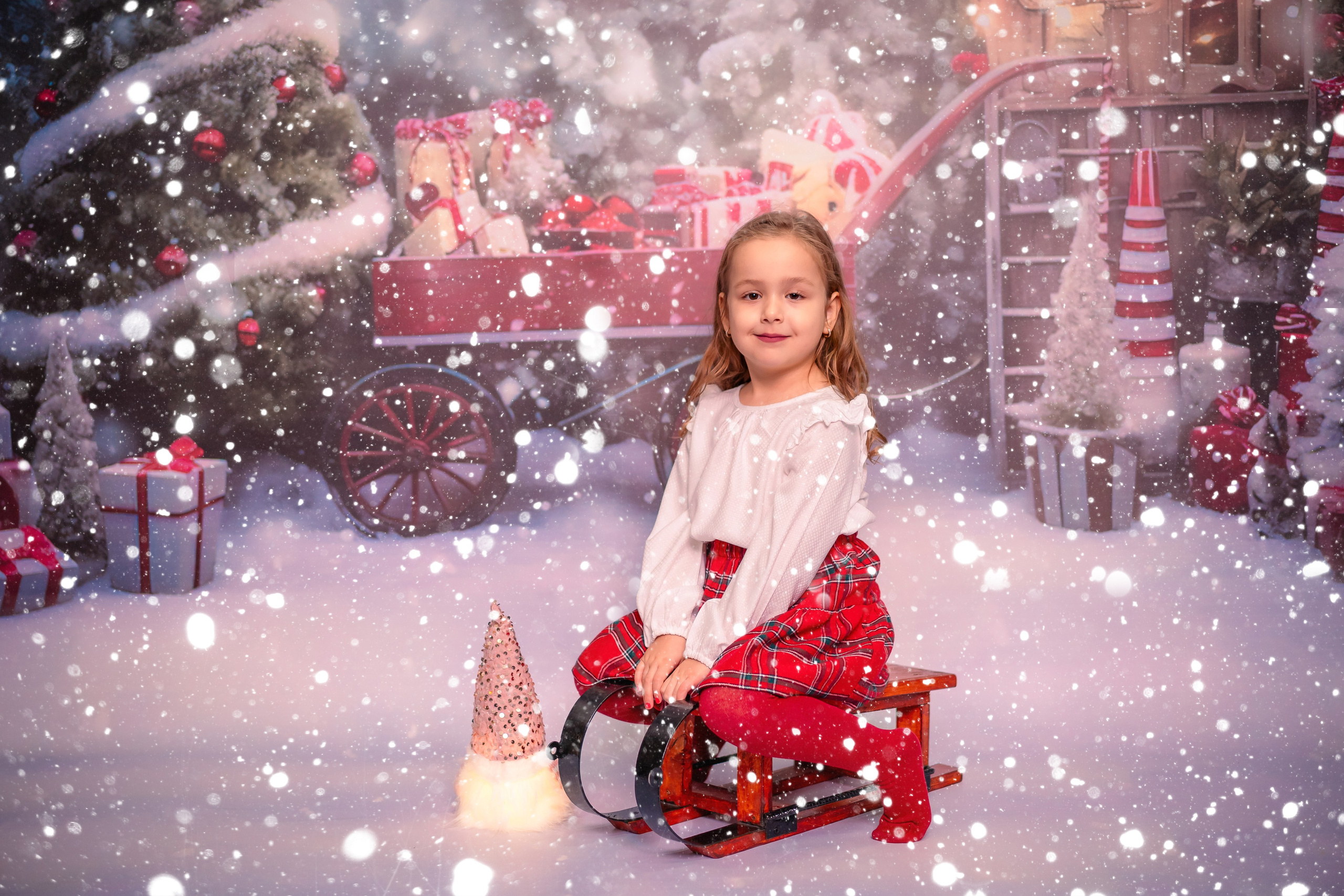 Școli și Grădinițe