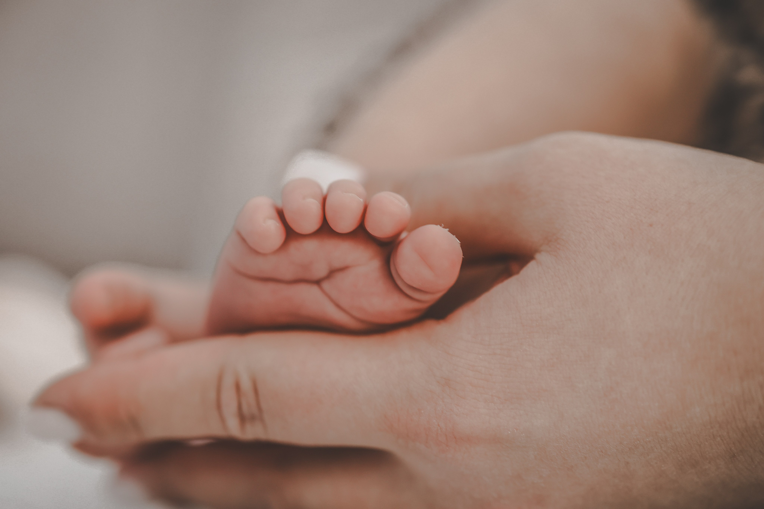 Семейные. Съемка церковных таинств — АЛИНА ФЕТУ