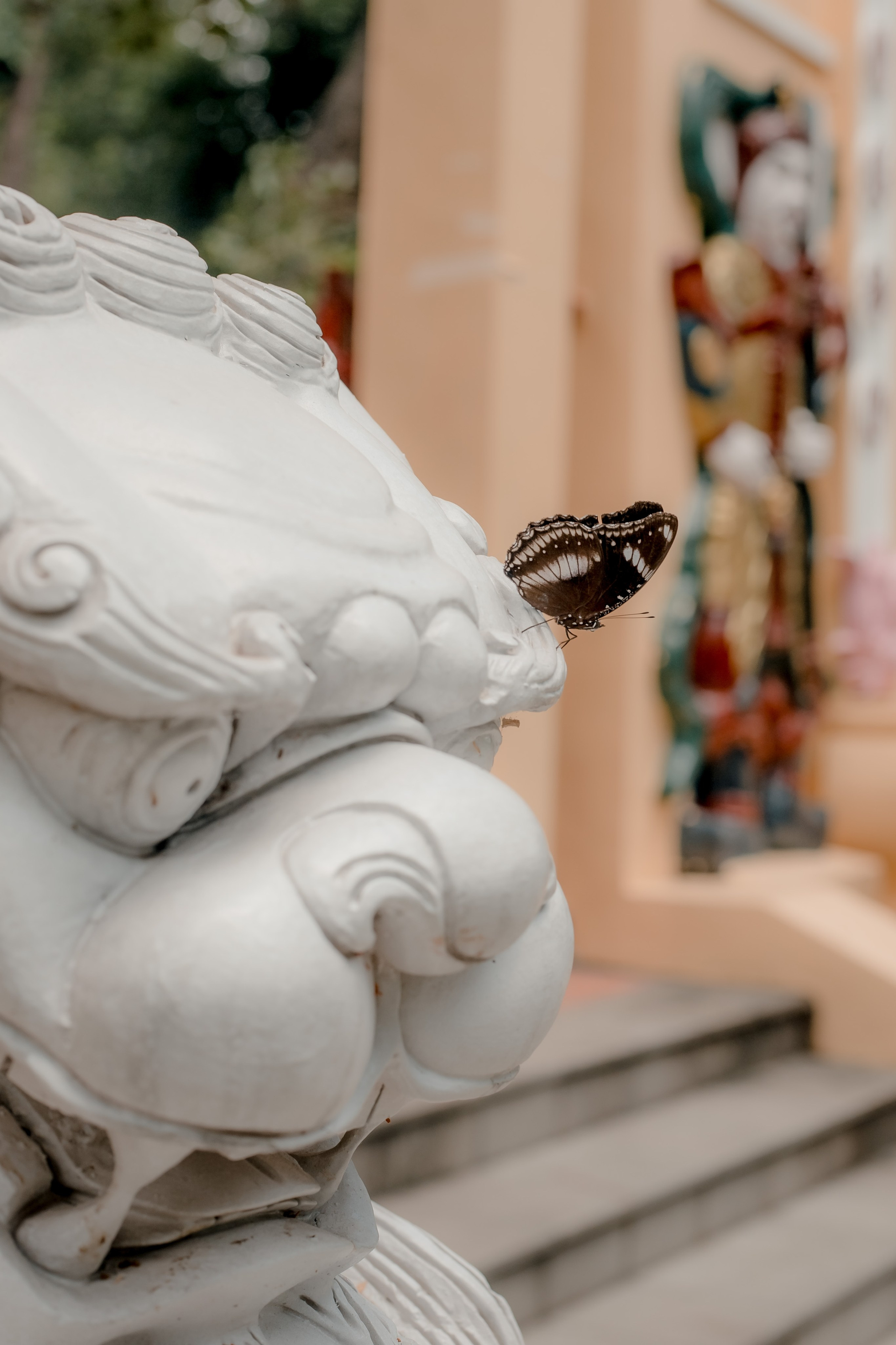 Ho Chi Minh, Vietnam | Part 1| 2025. HOME