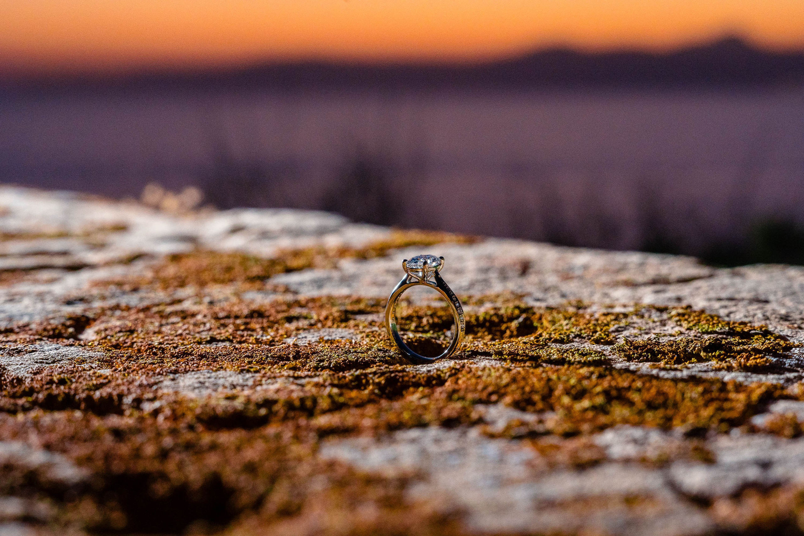 Wedding Proposal A&O. Mallorca Wedding, Corporate & Social Photographer
