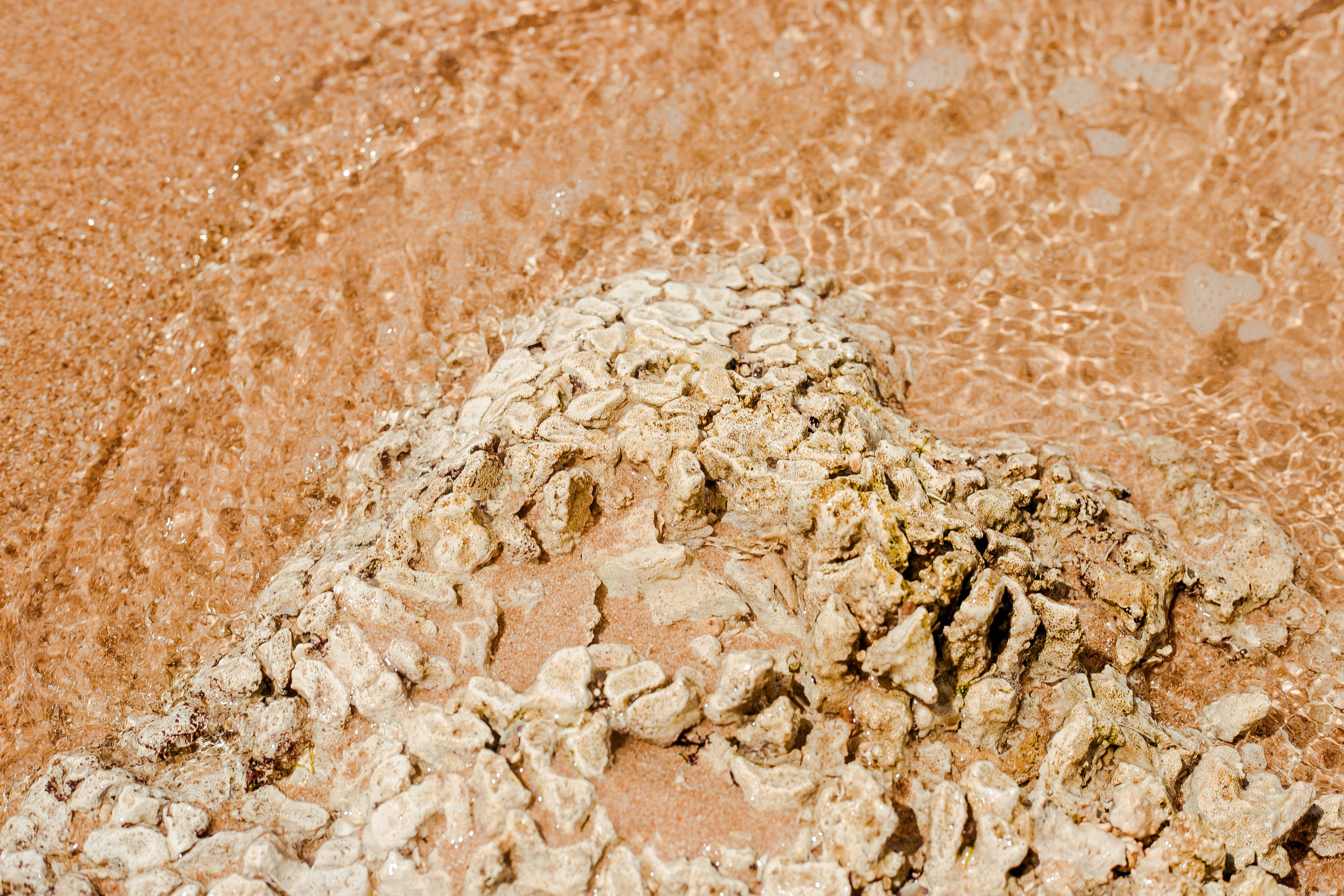 Sri Lanka. Art Photographer